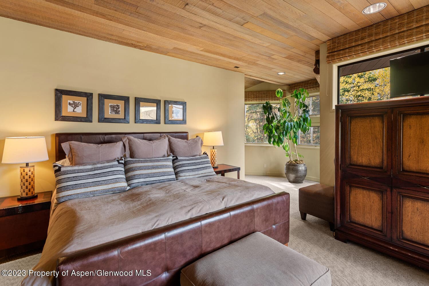 431 Edgewood Lane, Snowmass Village, CO 81615 - Photo 36