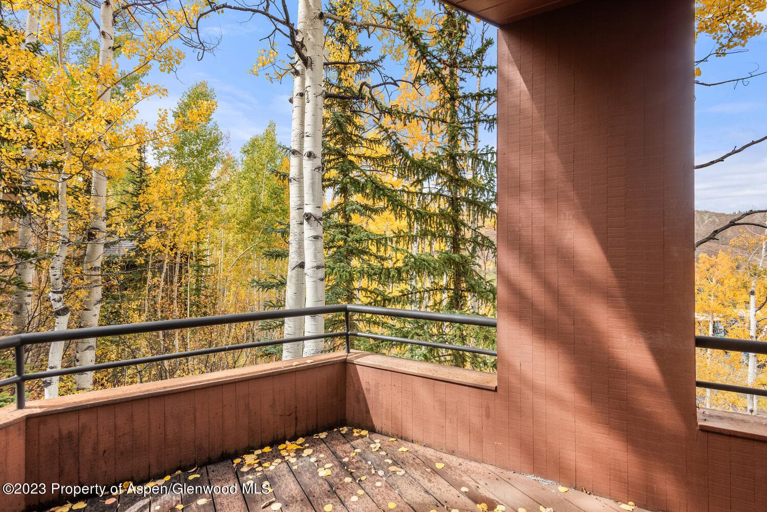 431 Edgewood Lane, Snowmass Village, CO 81615 - Photo 38