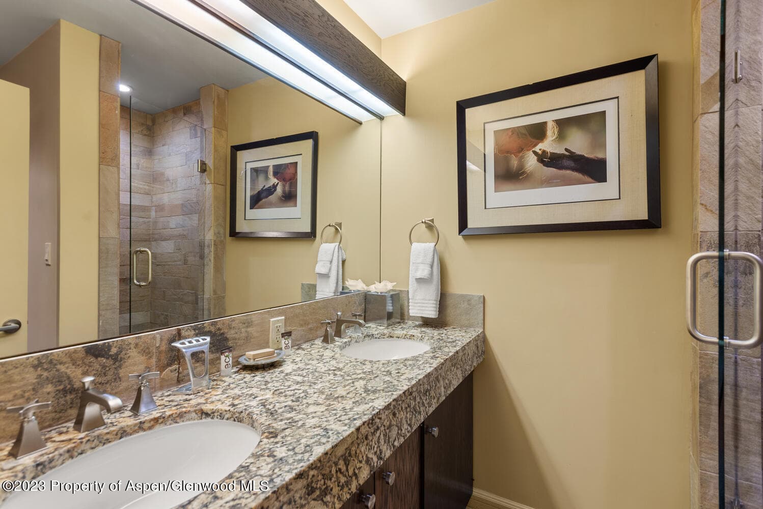 431 Edgewood Lane, Snowmass Village, CO 81615 - Photo 48
