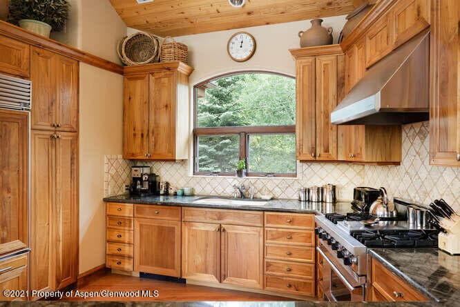 1243 E Cooper Street Unit A, Aspen, CO 81611 - Photo 10