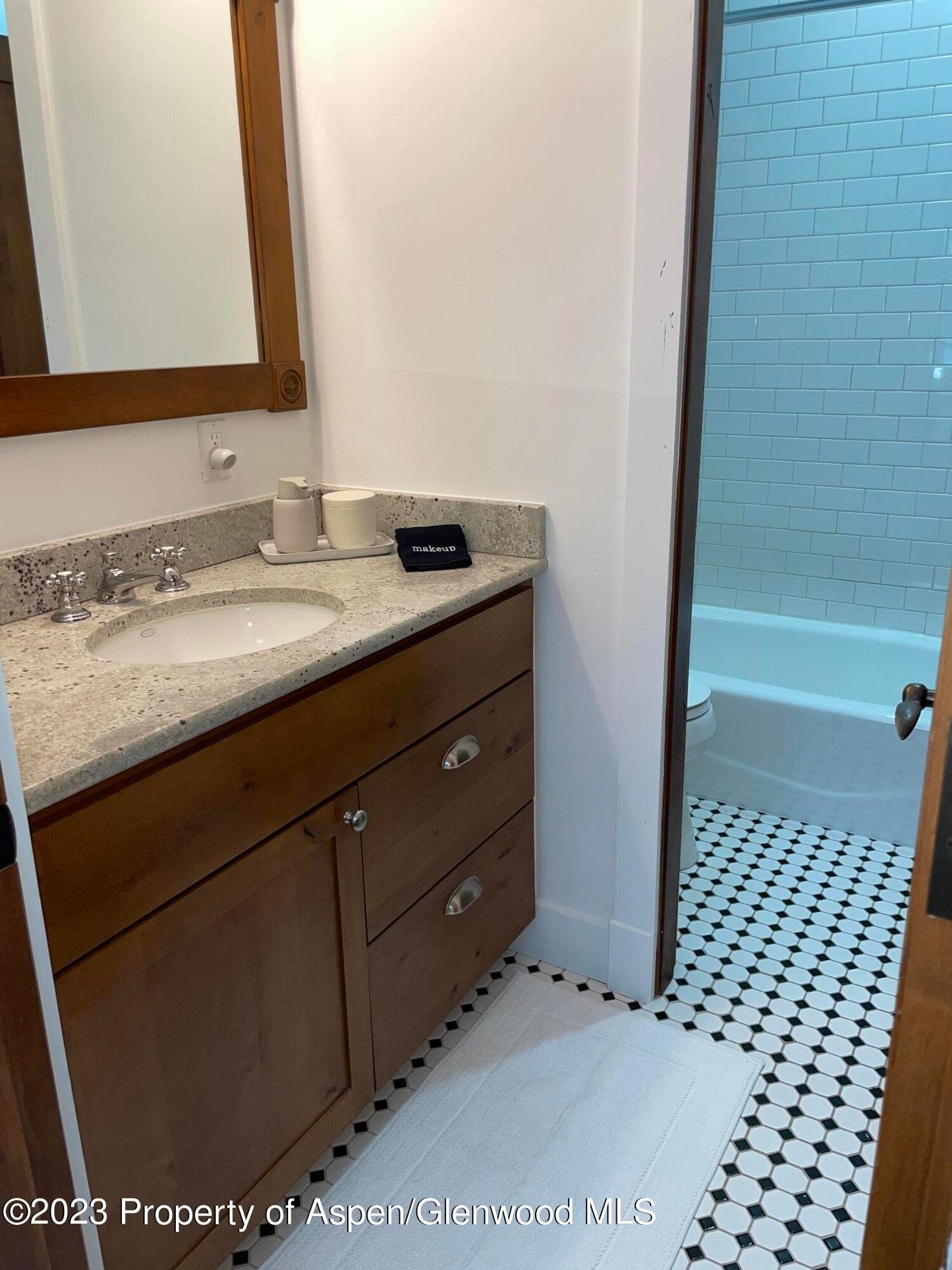 519 W Main Street D-101, Aspen, CO 81611 - Photo 10