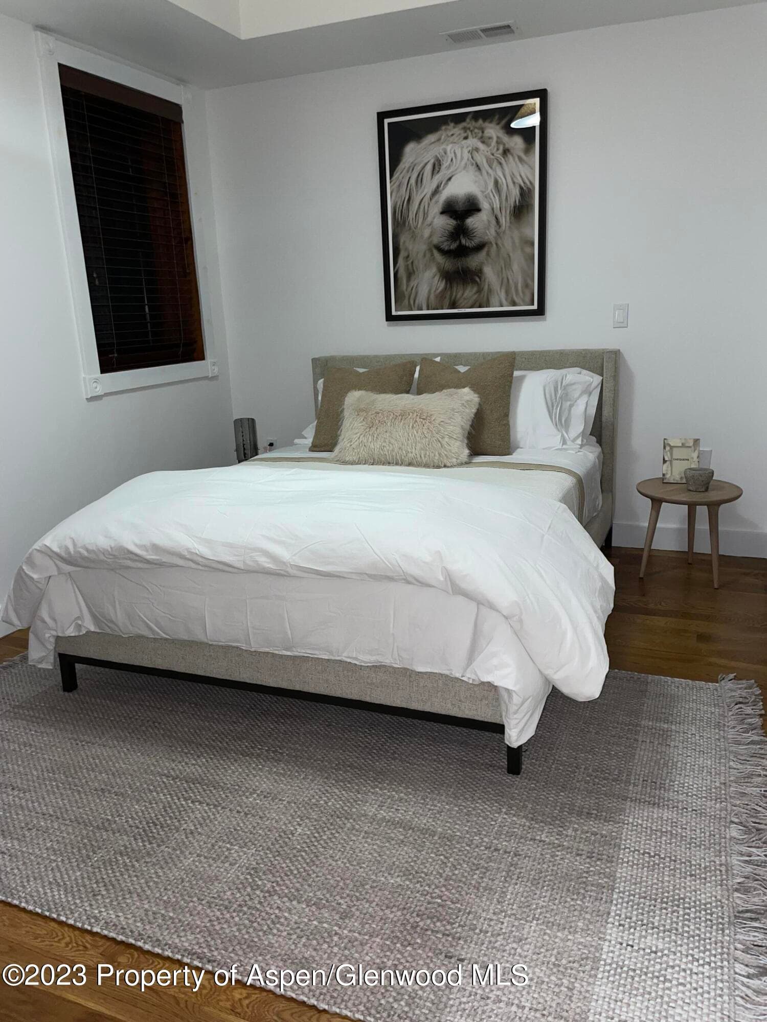 519 W Main Street D-101, Aspen, CO 81611 - Photo 11