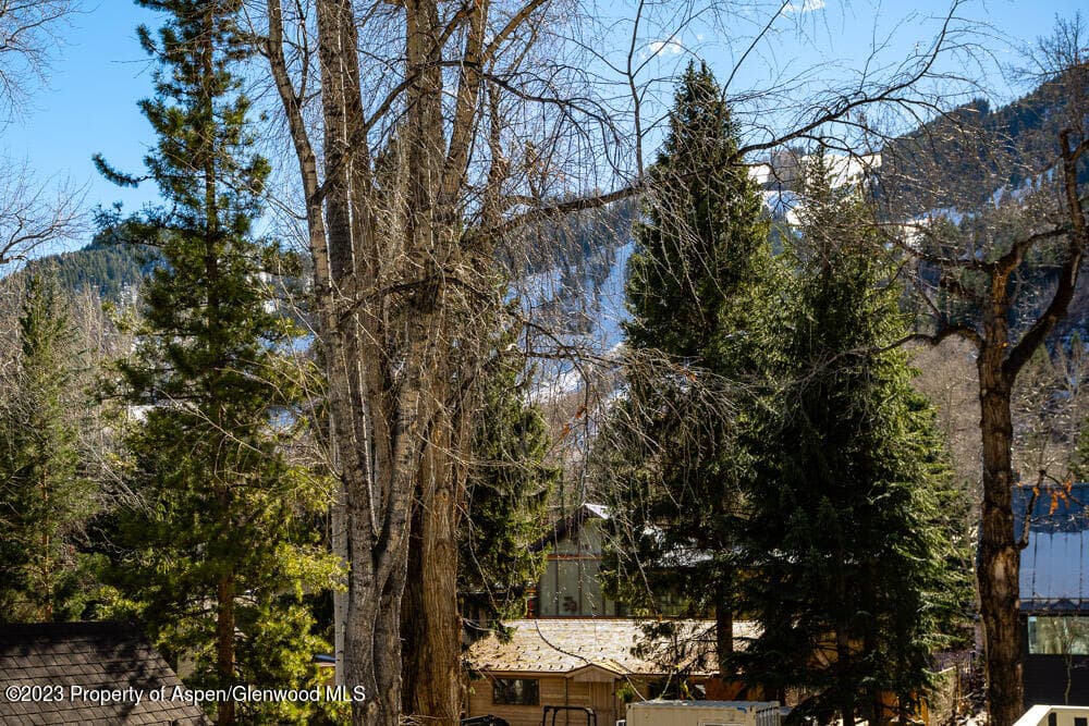 222 W Hopkins Avenue 6, Aspen, CO 81611 - Photo 21