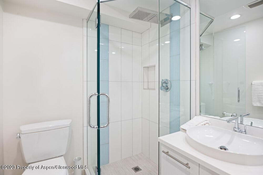222 W Hopkins Avenue 6, Aspen, CO 81611 - Photo 14