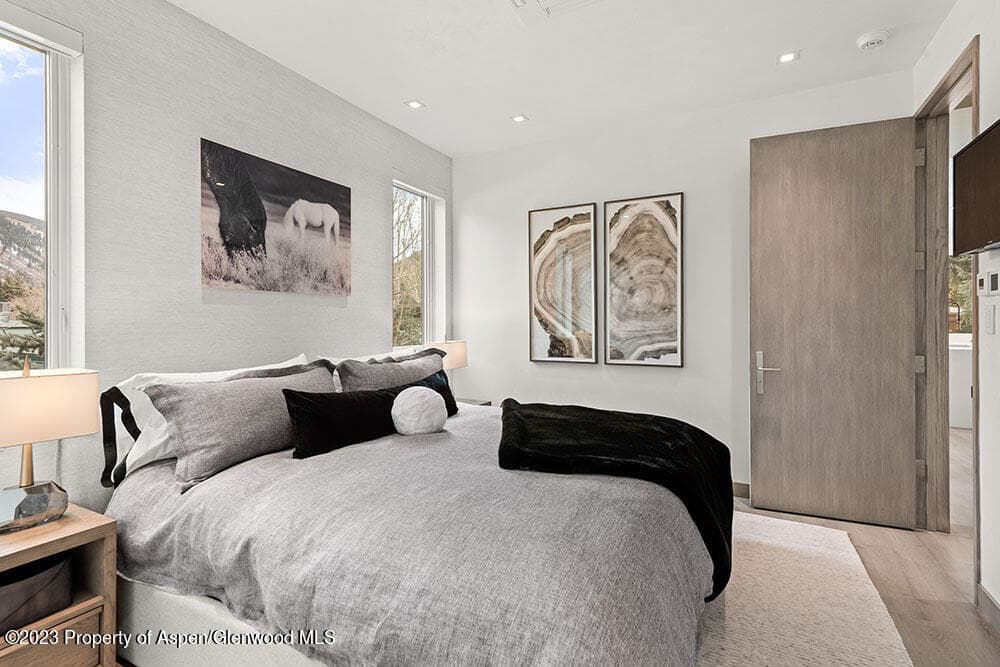 802 E Cooper #3, Aspen, CO 81611 - Photo 14