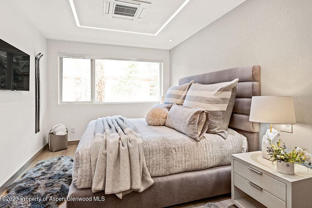 802 E Cooper #3, Aspen, CO 81611 - Photo 9