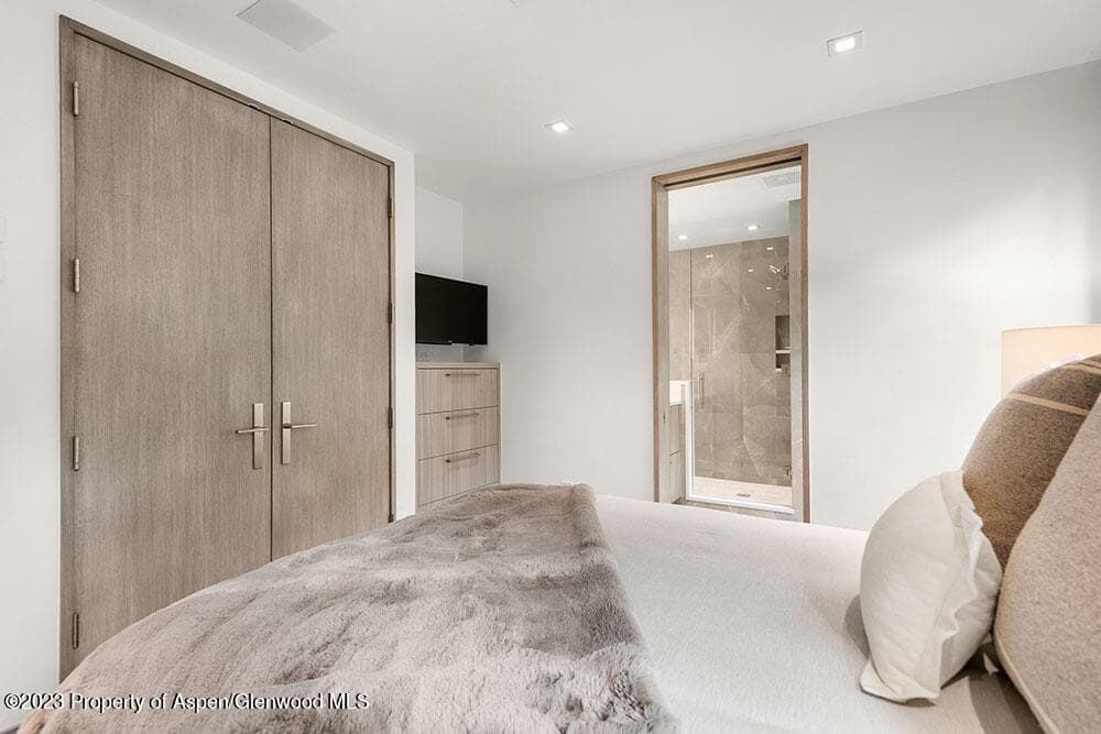 802 E Cooper #3, Aspen, CO 81611 - Photo 17