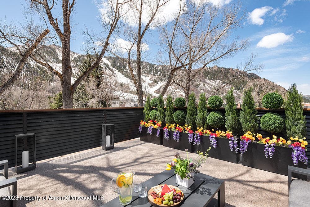 802 E Cooper #3, Aspen, CO 81611 - Photo 26