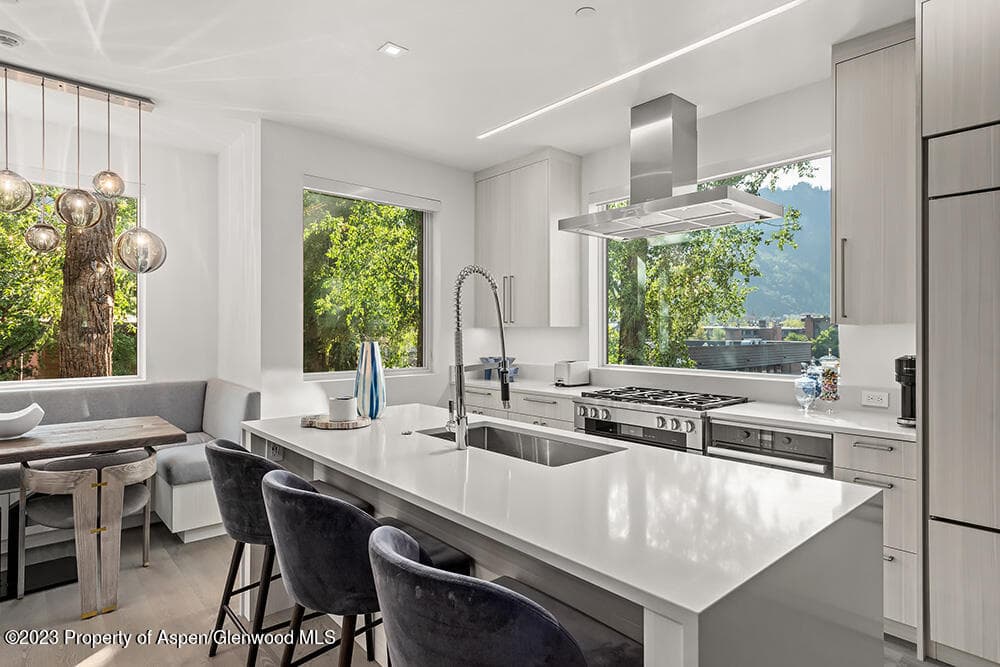 802 E Cooper #3, Aspen, CO 81611 - Photo 3