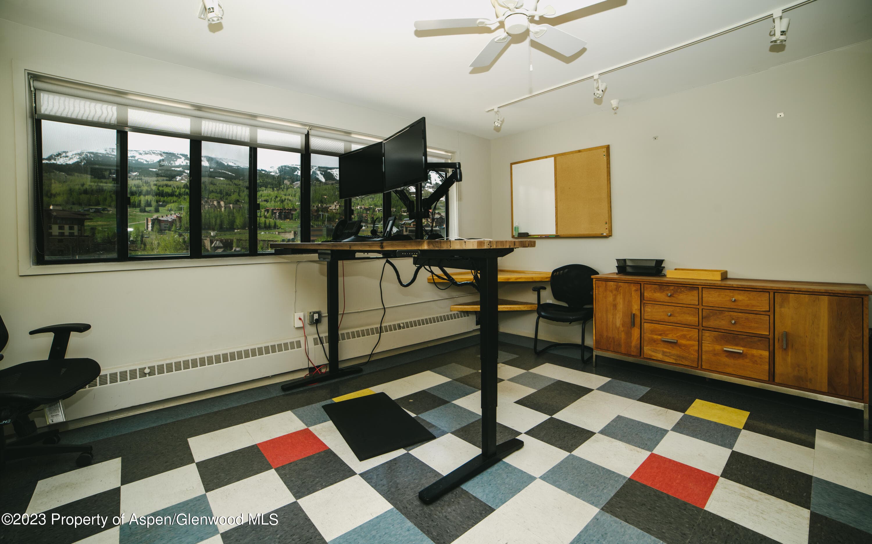 16 Kearns Road, Snowmass Village, CO 81615 - Photo 3