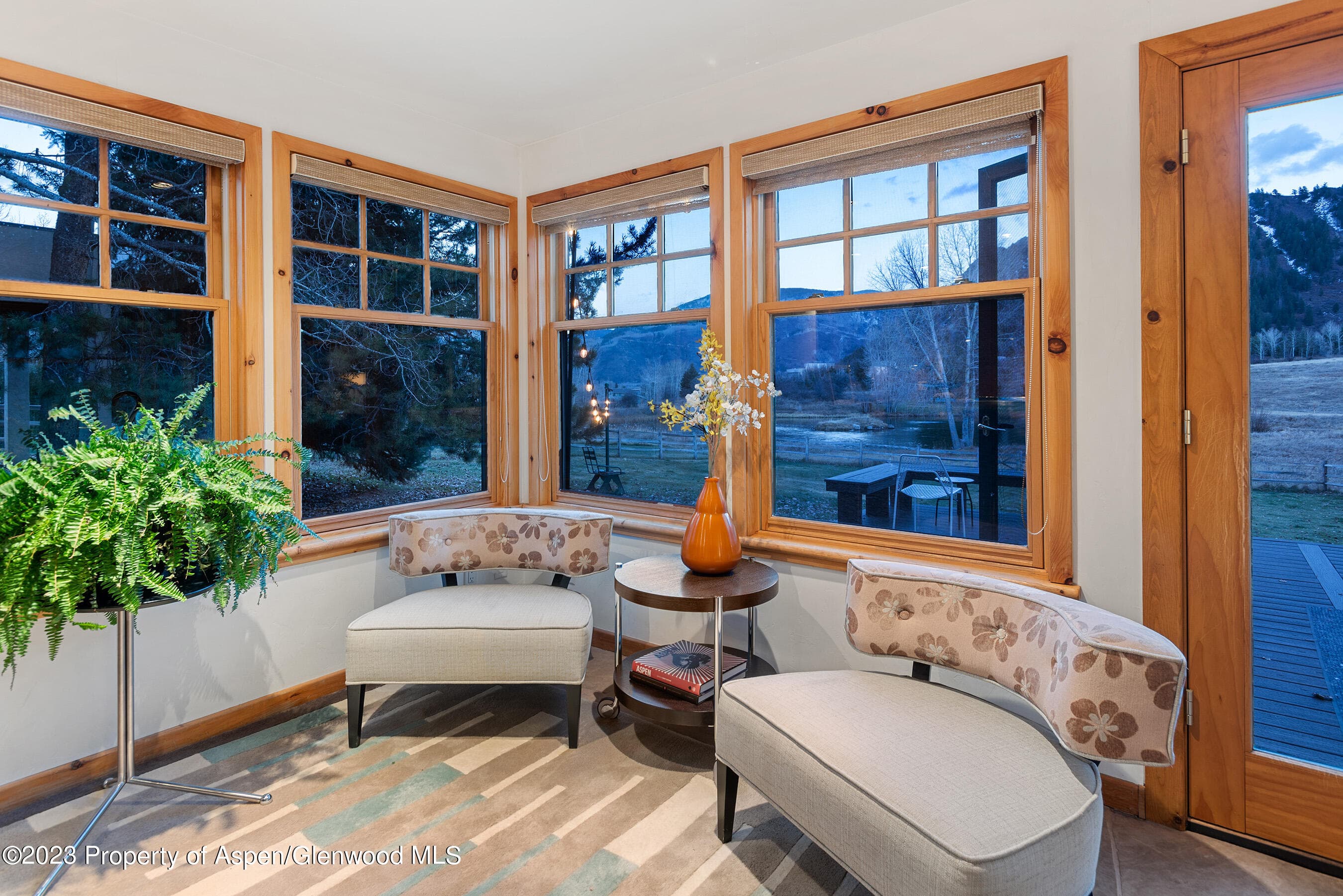 240 Heather Lane, Aspen, CO 81611 - Photo 10