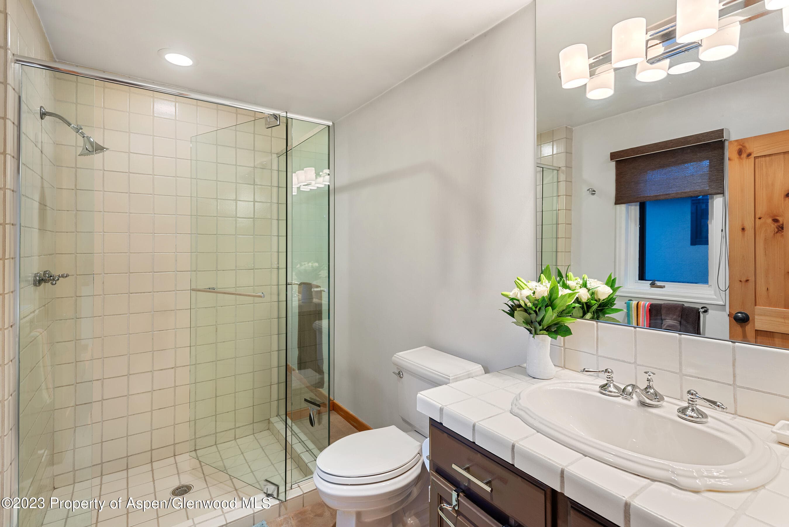 240 Heather Lane, Aspen, CO 81611 - Photo 18