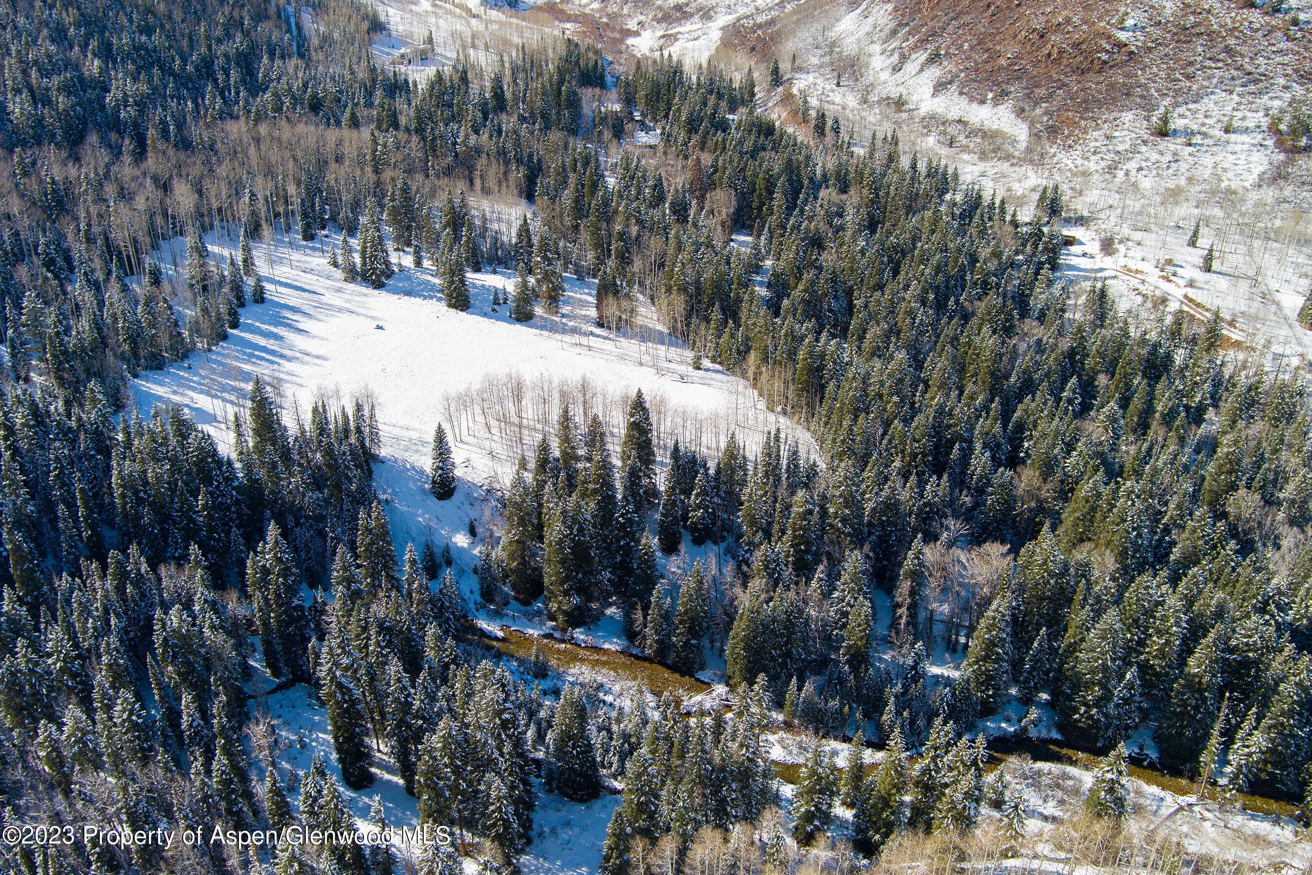 TBD Conundrum Creek Road, Aspen, CO 81611 - Photo 21