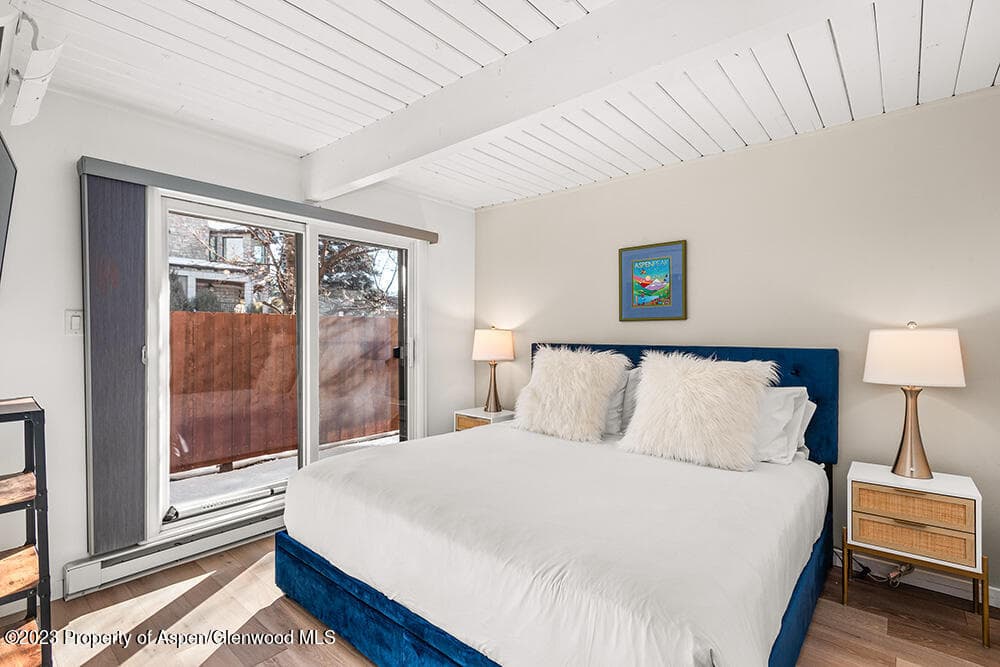 630 E Cooper Avenue 4, Aspen, CO 81611 - Photo 8