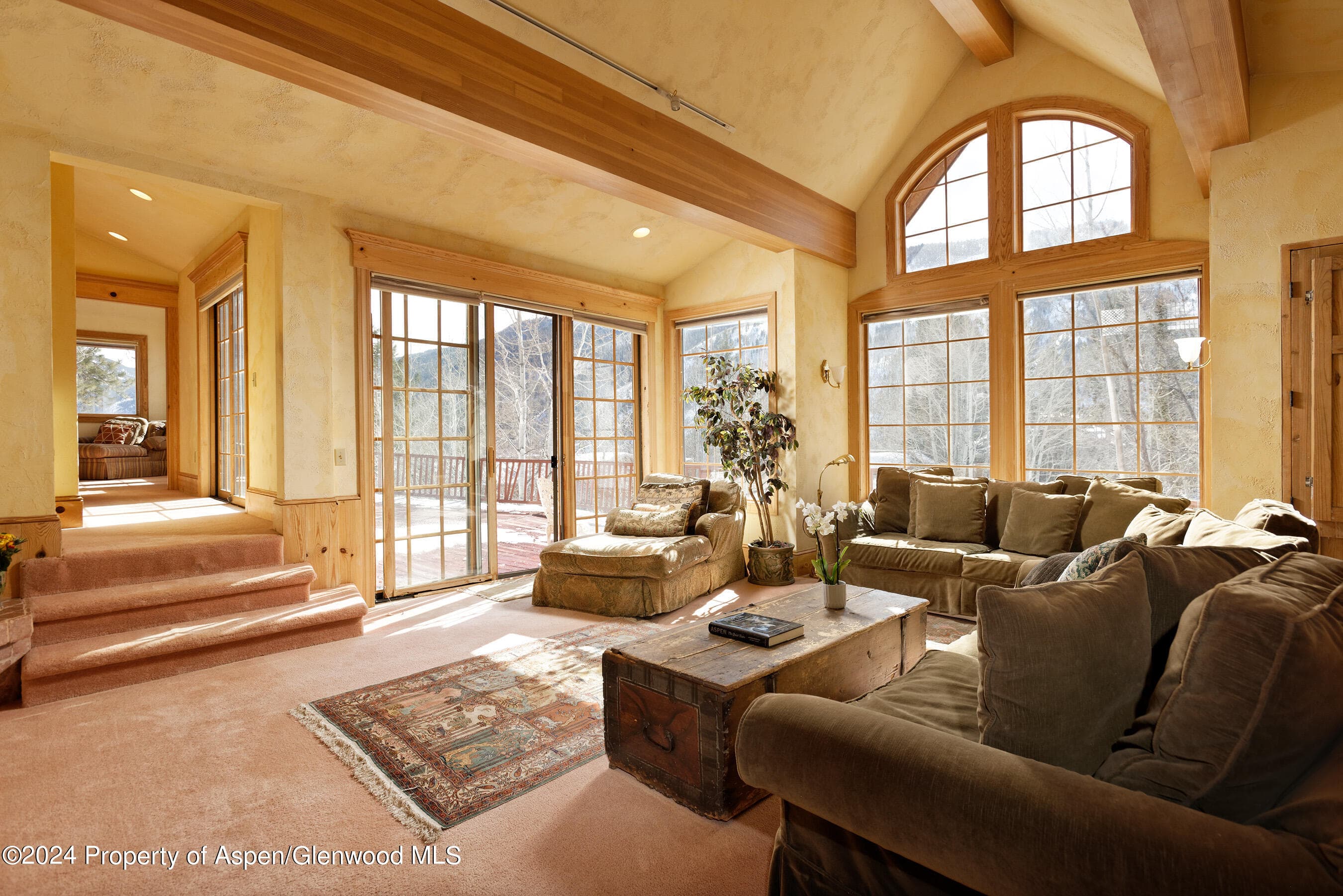 184 MOUNTAIN LAUREL Drive, Aspen, CO 81611 - Photo 8