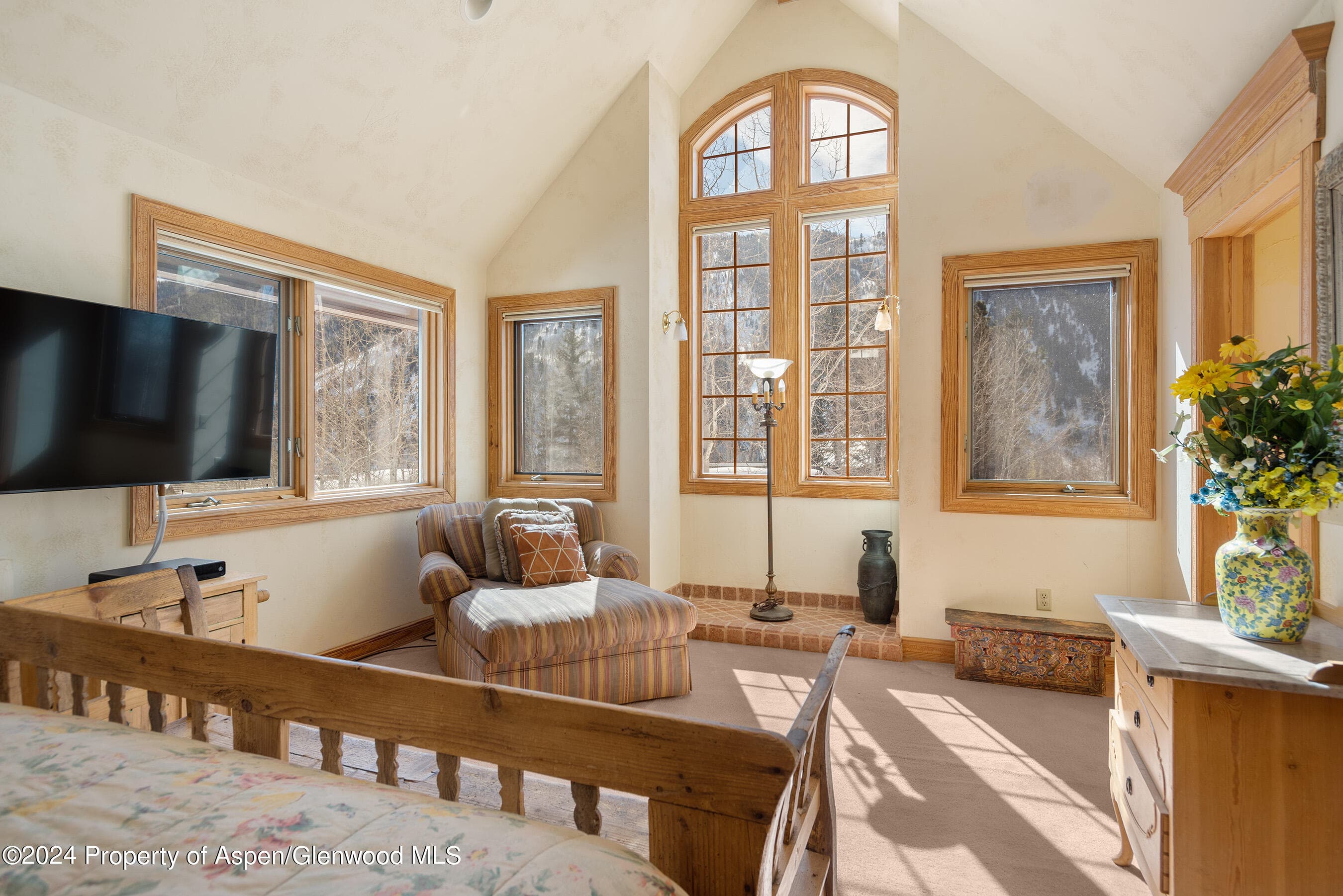 184 MOUNTAIN LAUREL Drive, Aspen, CO 81611 - Photo 10
