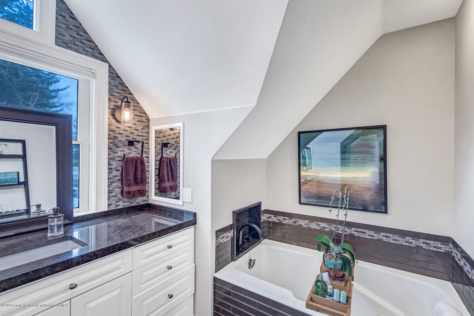 633 W Main Street, Aspen, CO 81611 - Photo 11