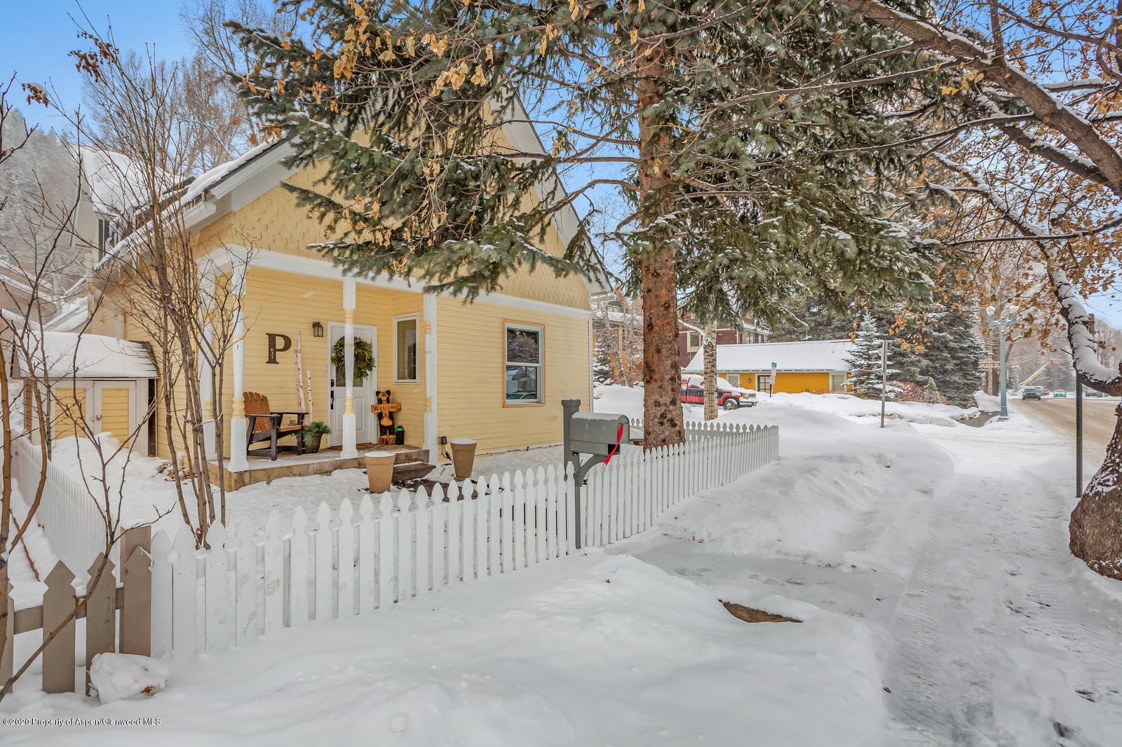 633 W Main Street, Aspen, CO 81611 - Photo 20