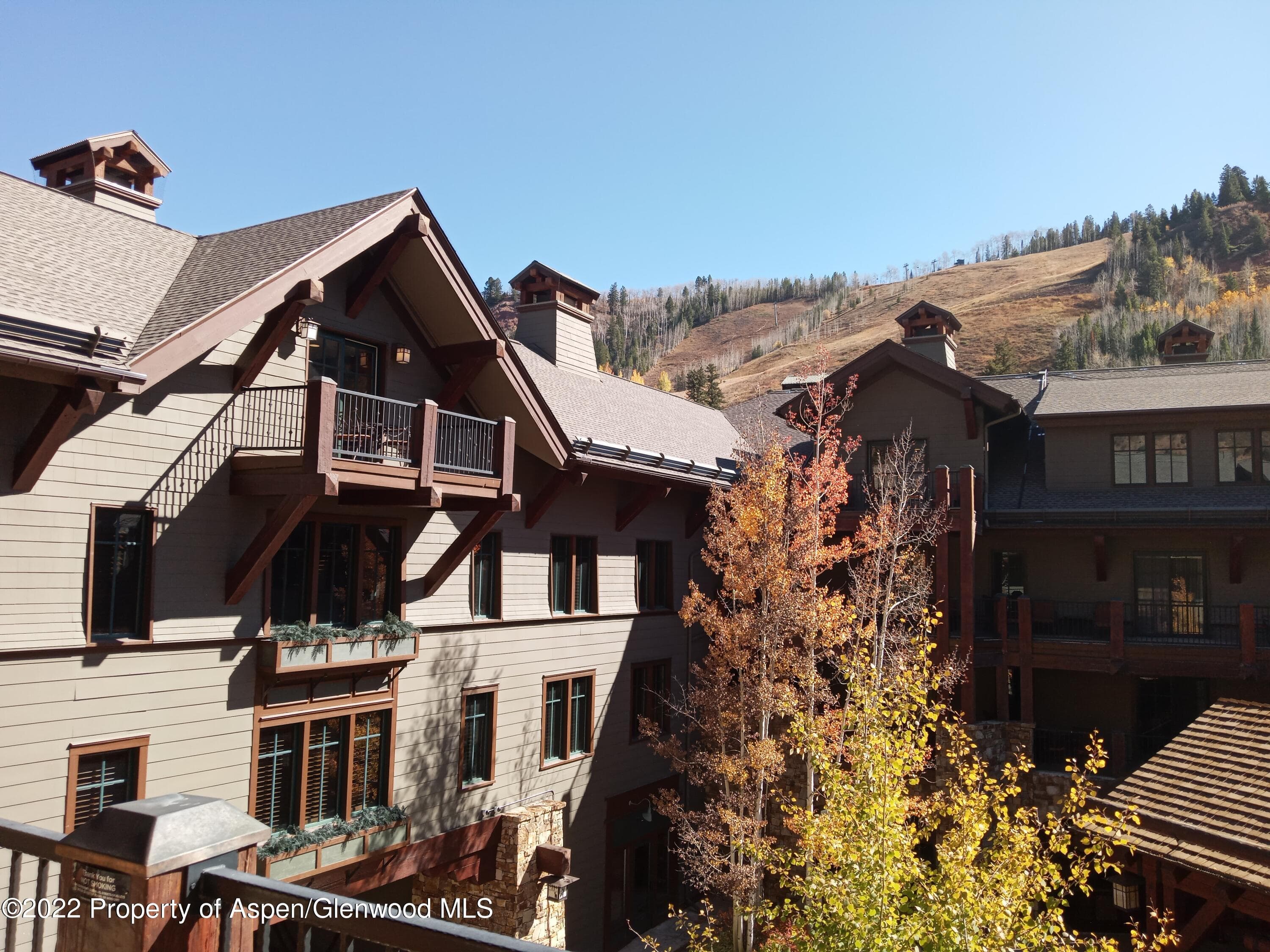 0075 Prospector Road Unit 8202 Summer Interest #7, Aspen, CO 81611 - Photo 27