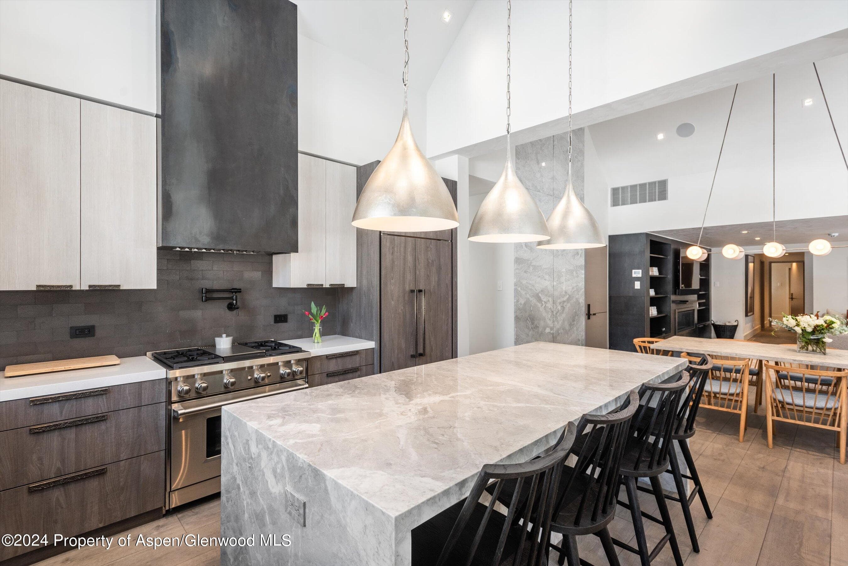 131 W Bleeker Street, Aspen, CO 81611 - Photo 8