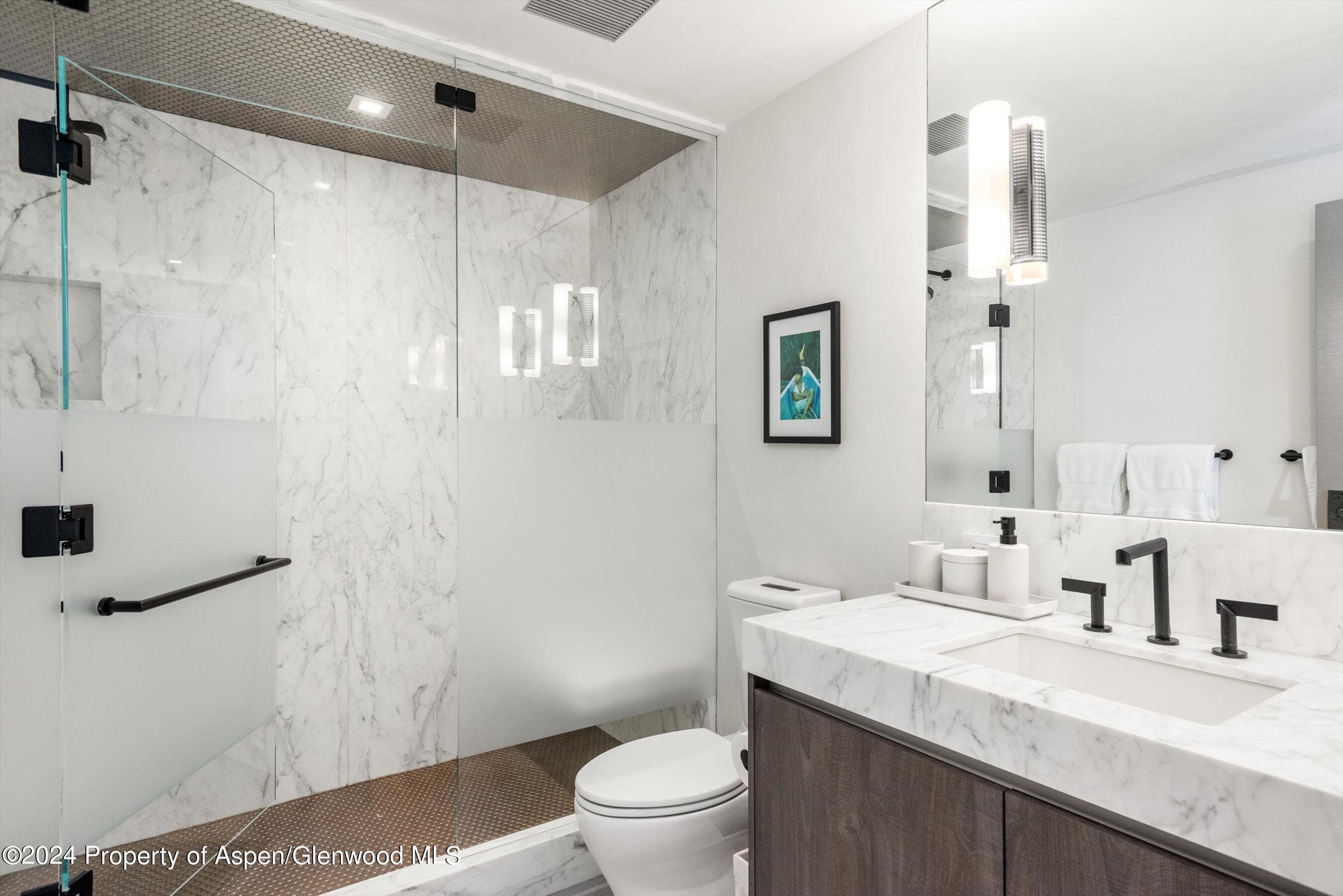 131 W Bleeker Street, Aspen, CO 81611 - Photo 15