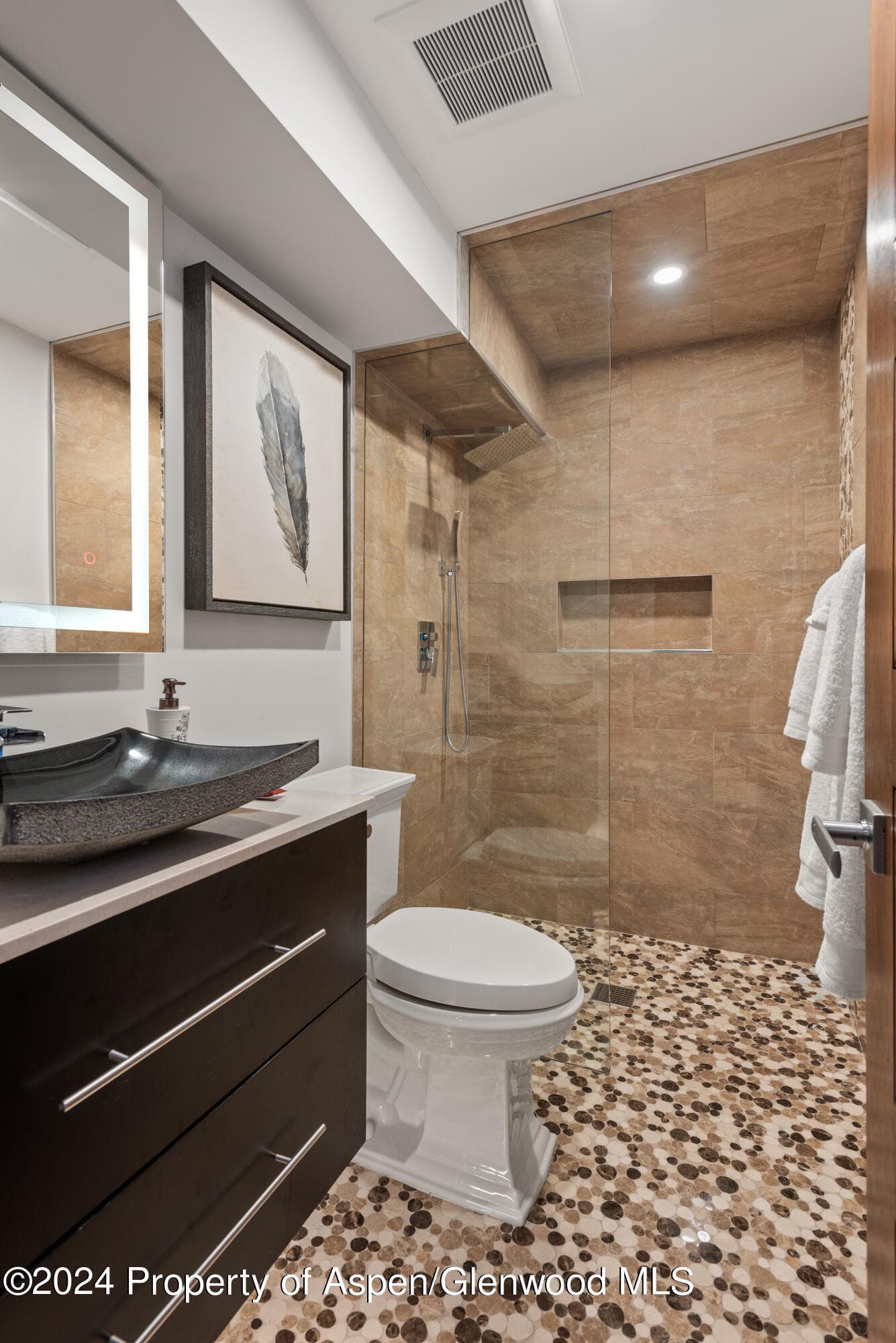 365 Terrace Drive, Snowmass Village, CO 81615 - Photo 29