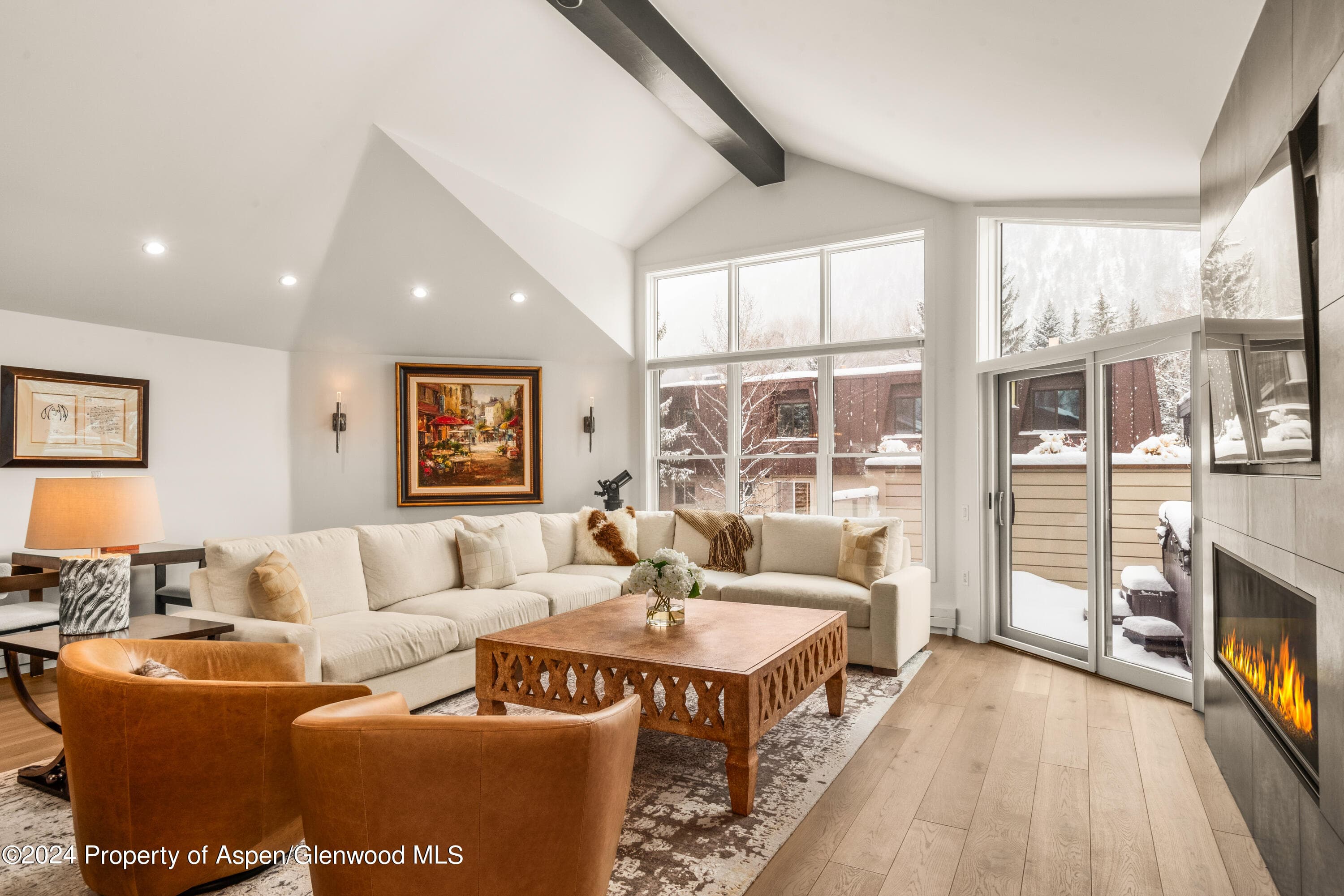 927 E Durant Avenue 3, Aspen, CO 81611 - Photo 6