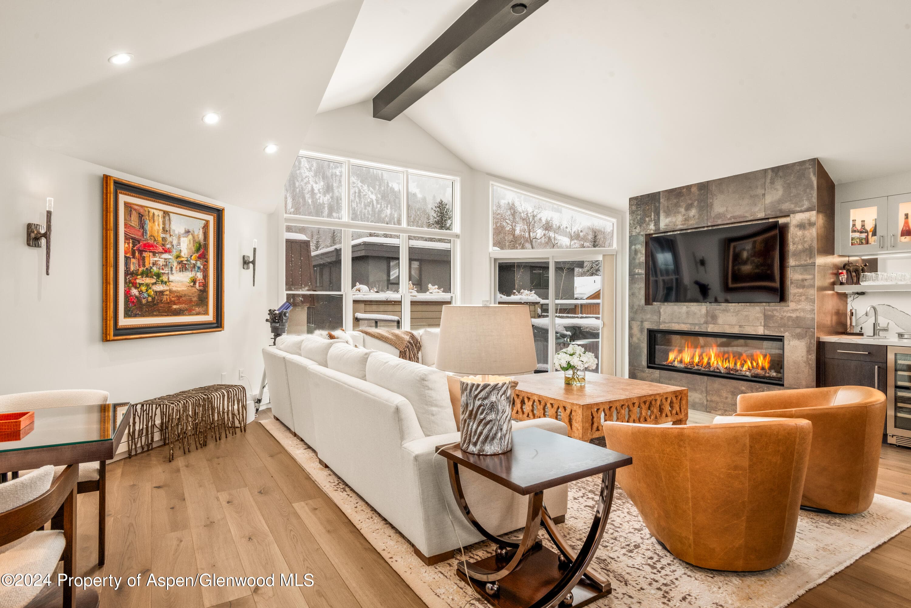 927 E Durant Avenue 3, Aspen, CO 81611 - Photo 8
