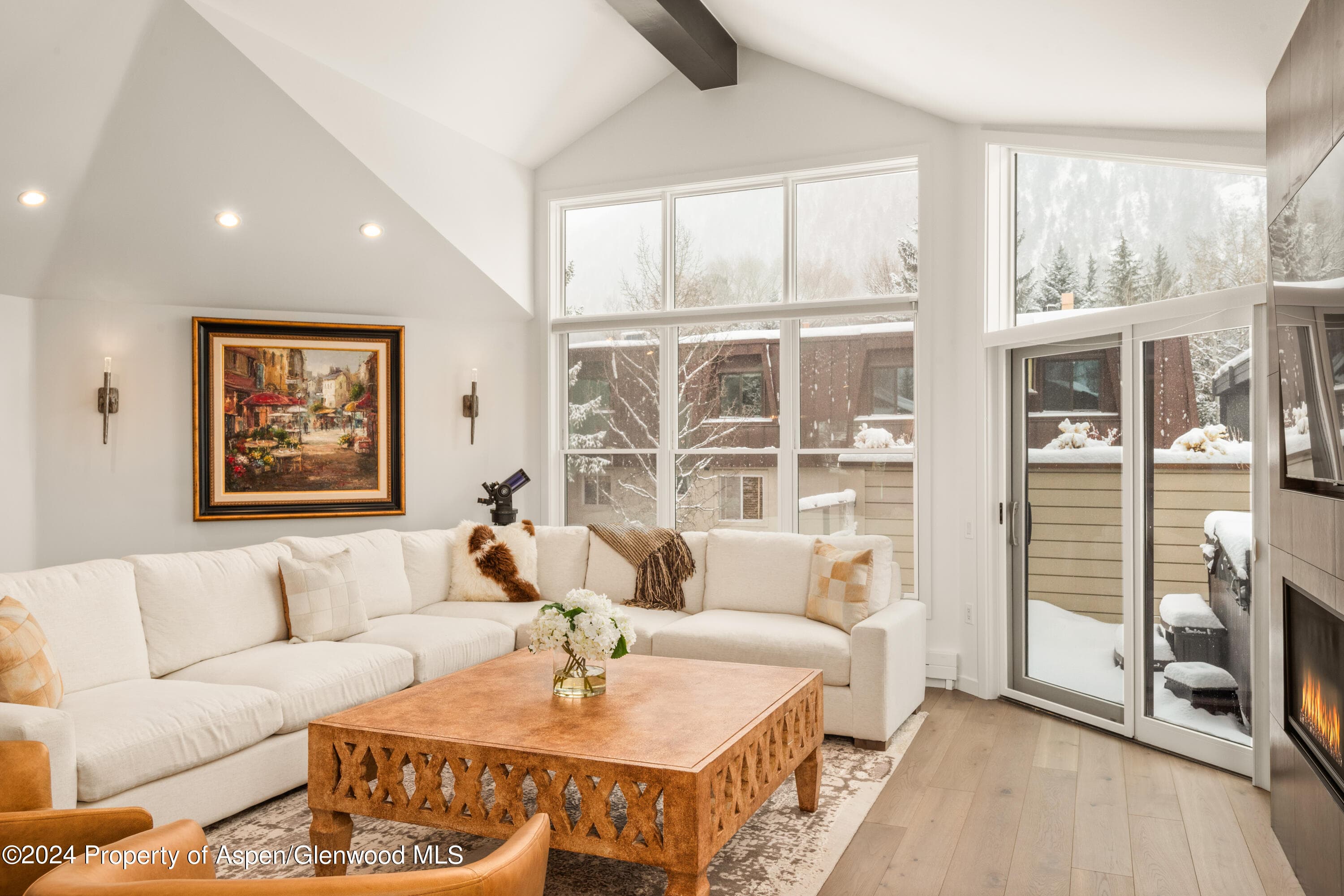 927 E Durant Avenue 3, Aspen, CO 81611 - Photo 7