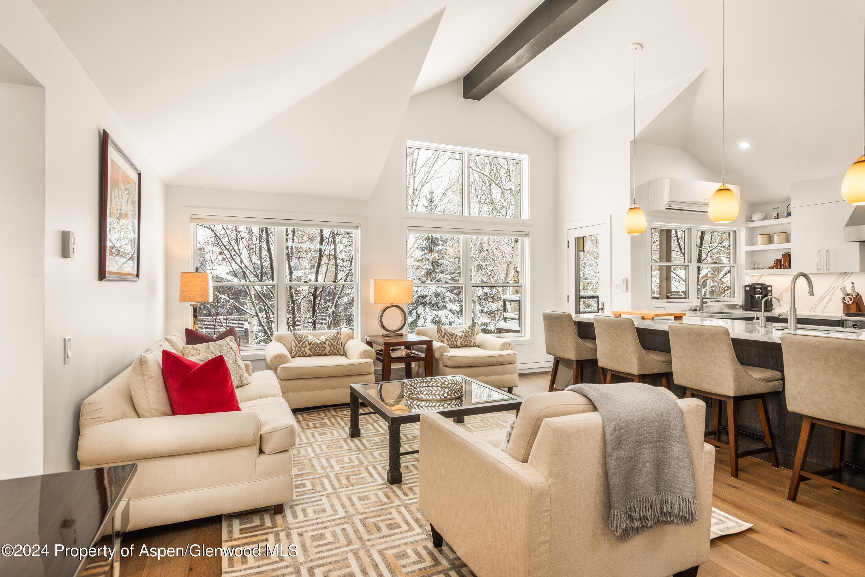 927 E Durant Avenue 3, Aspen, CO 81611 - Photo 16