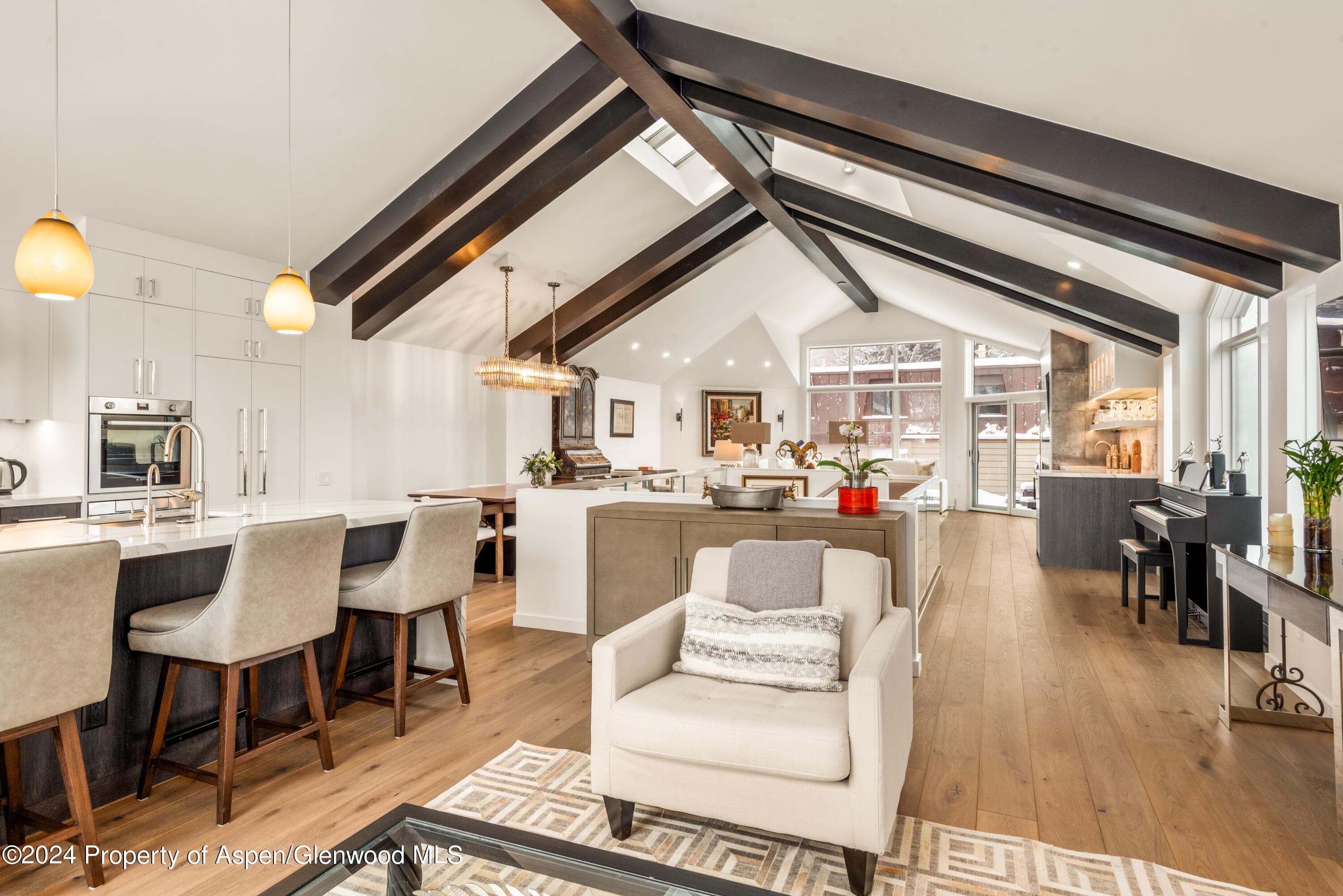 927 E Durant Avenue 3, Aspen, CO 81611 - Photo 12