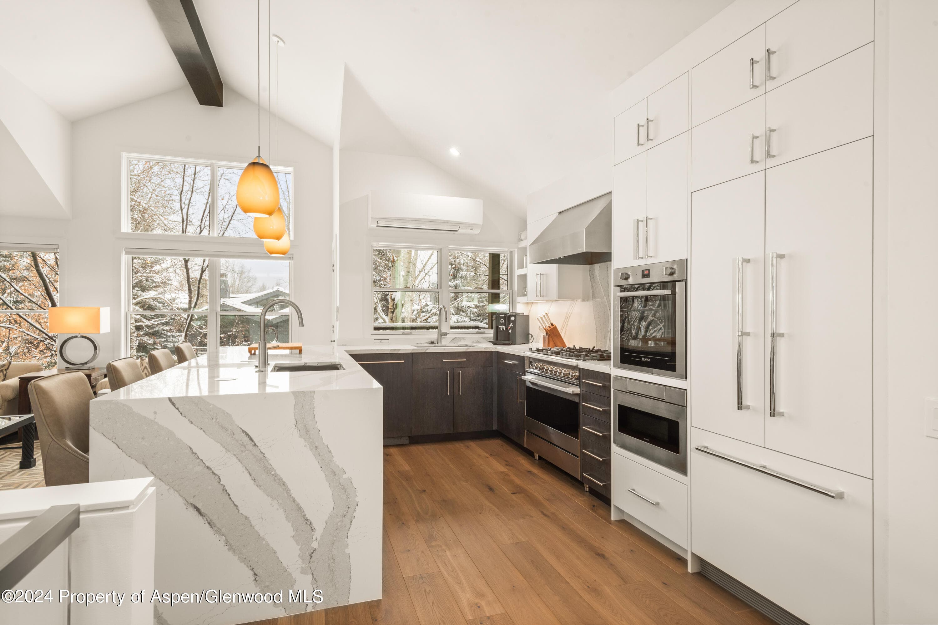 927 E Durant Avenue 3, Aspen, CO 81611 - Photo 14