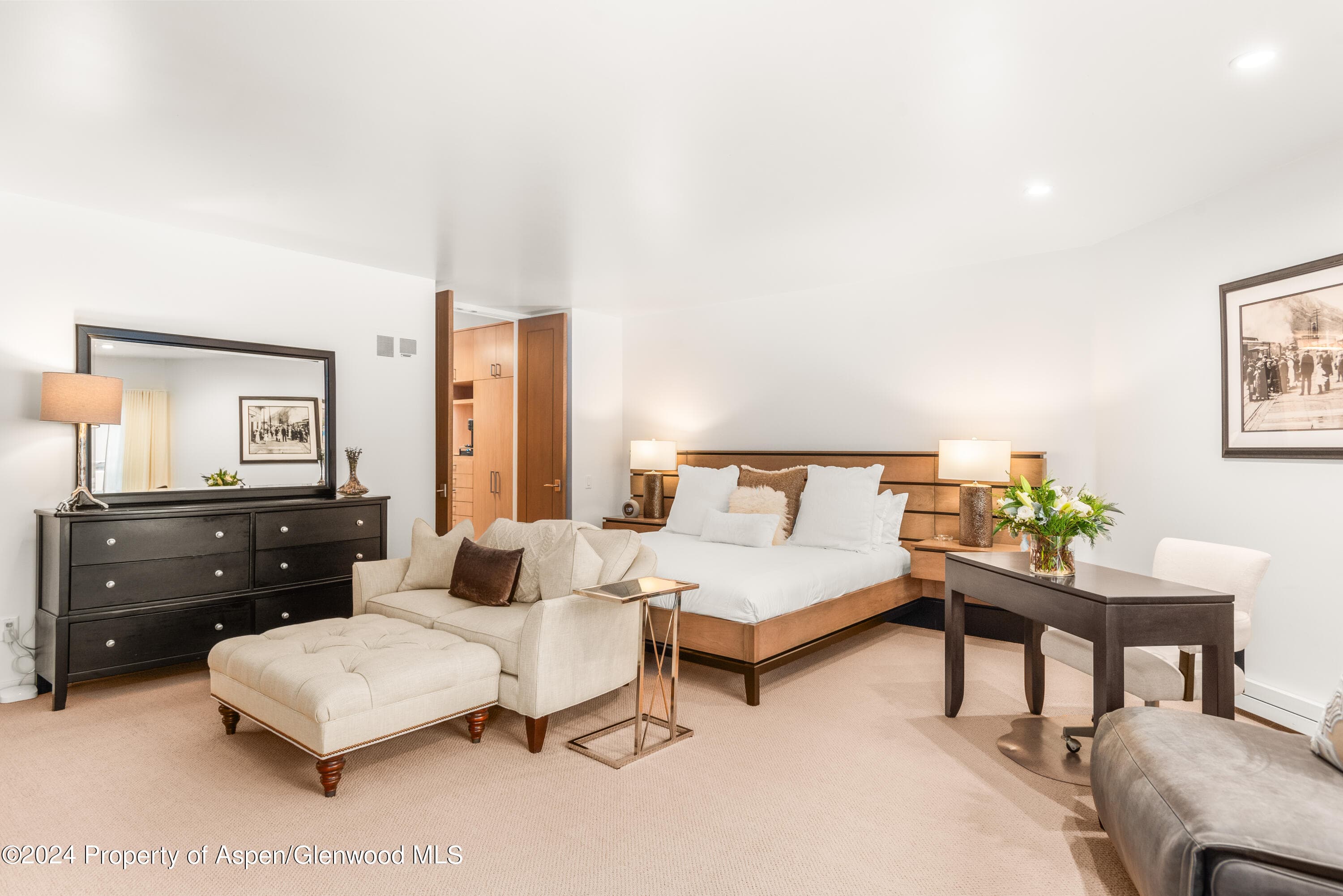 927 E Durant Avenue 3, Aspen, CO 81611 - Photo 24