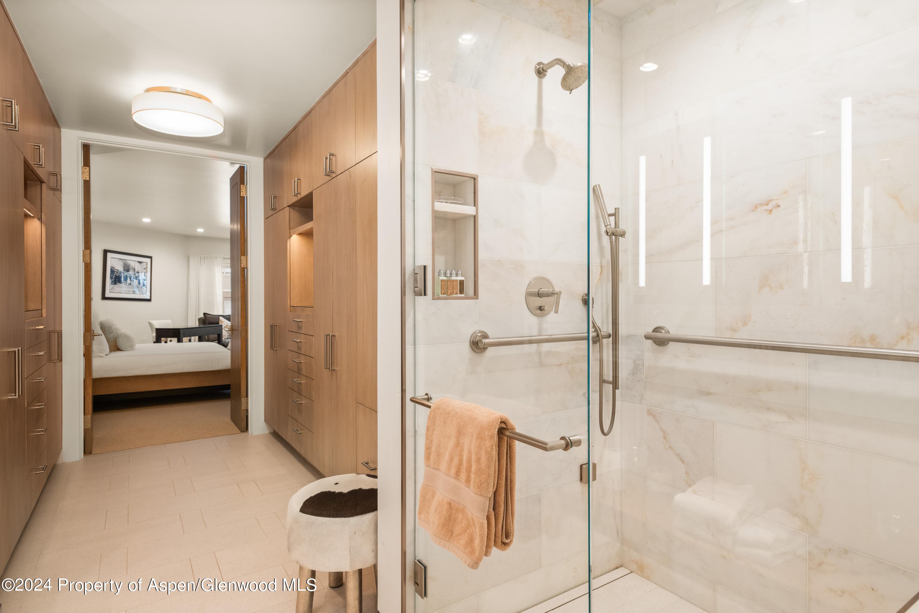 927 E Durant Avenue 3, Aspen, CO 81611 - Photo 31