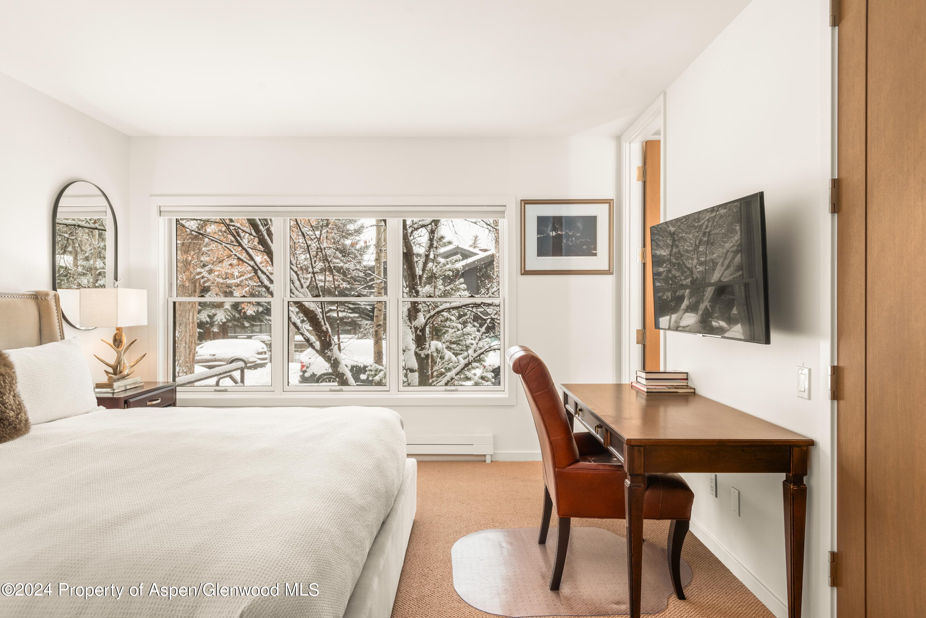 927 E Durant Avenue 3, Aspen, CO 81611 - Photo 33