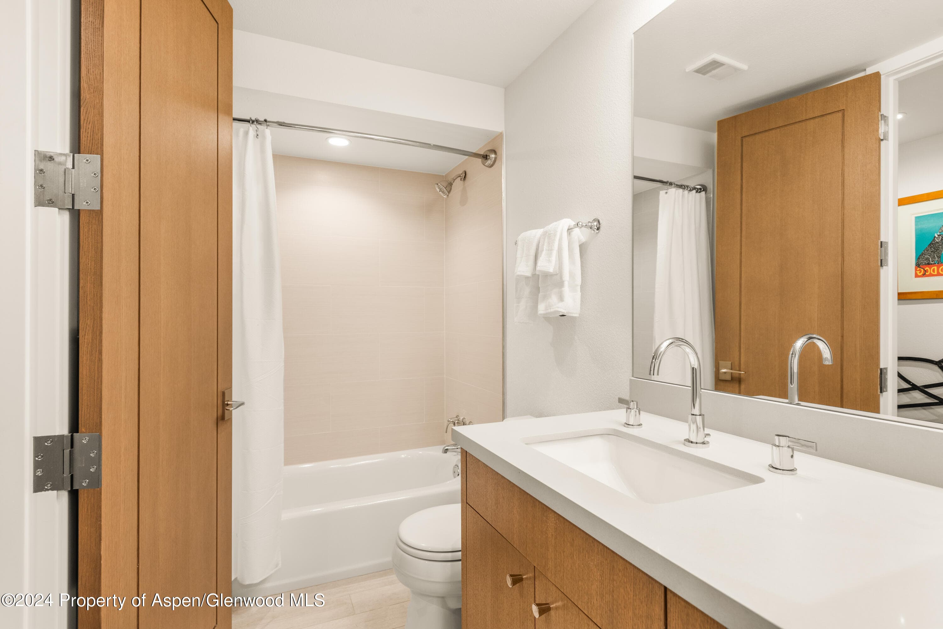 927 E Durant Avenue 3, Aspen, CO 81611 - Photo 37