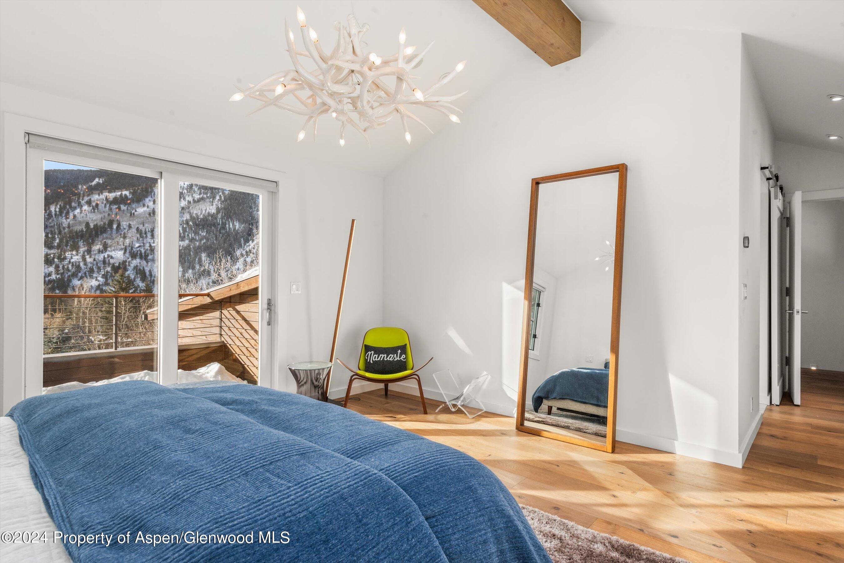 449 Mountain Laurel Drive #4, Aspen, CO 81611 - Photo 15