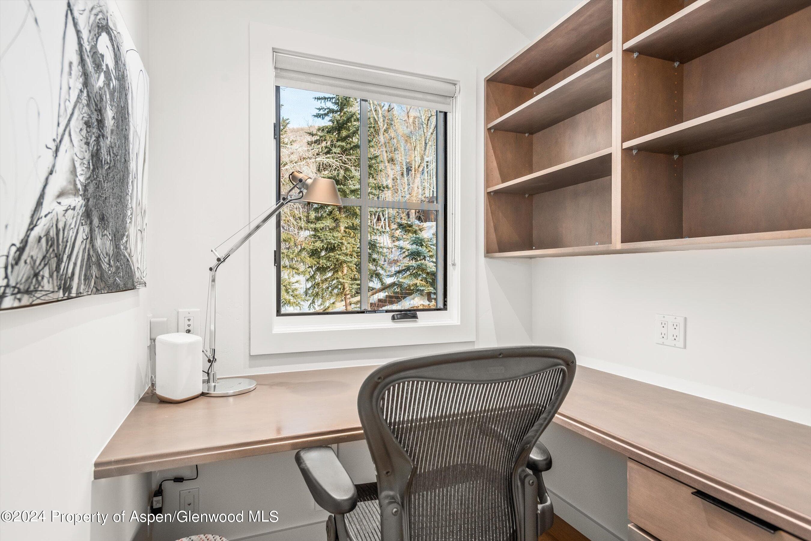 449 Mountain Laurel Drive #4, Aspen, CO 81611 - Photo 19