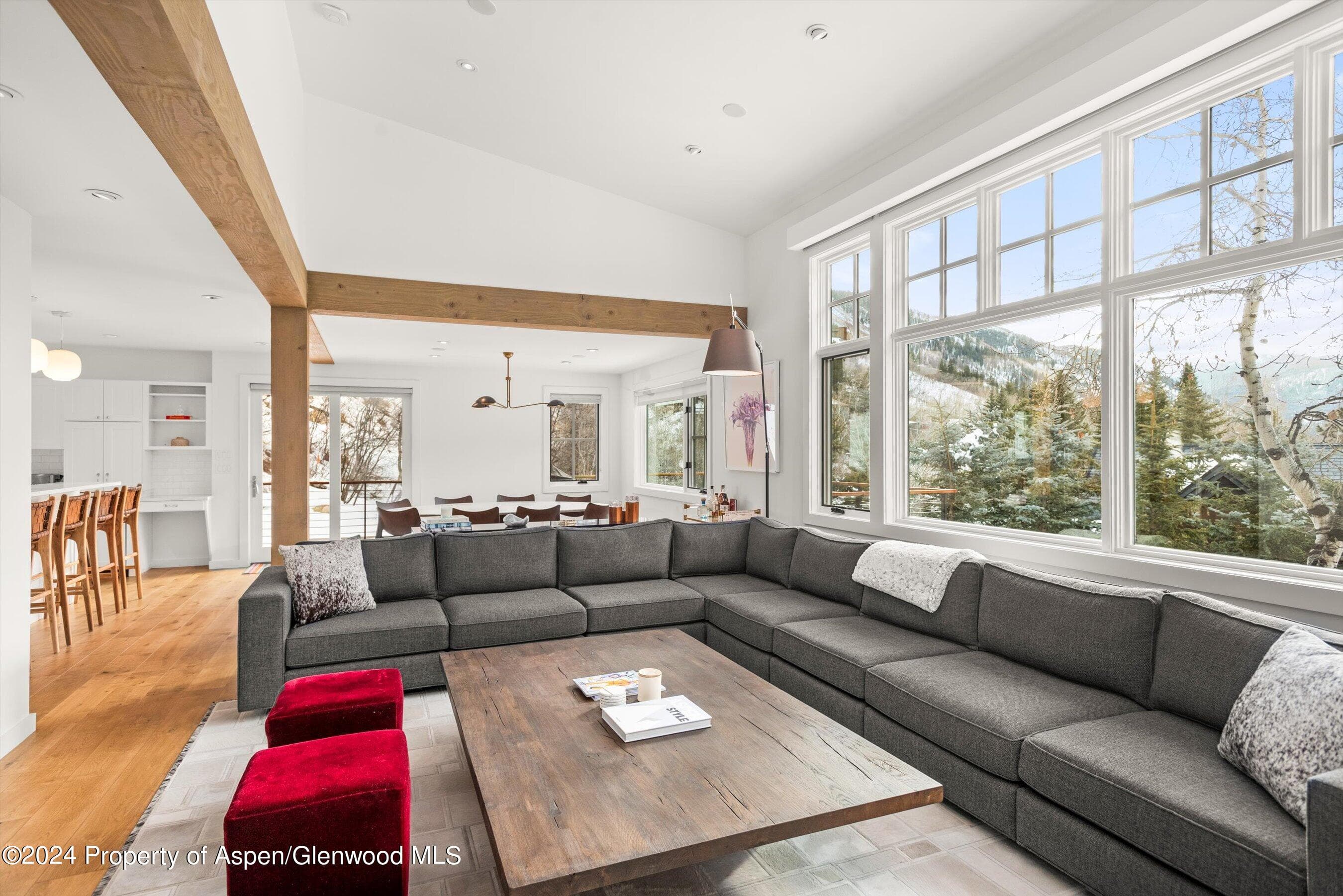 449 Mountain Laurel Drive #4, Aspen, CO 81611 - Photo 2