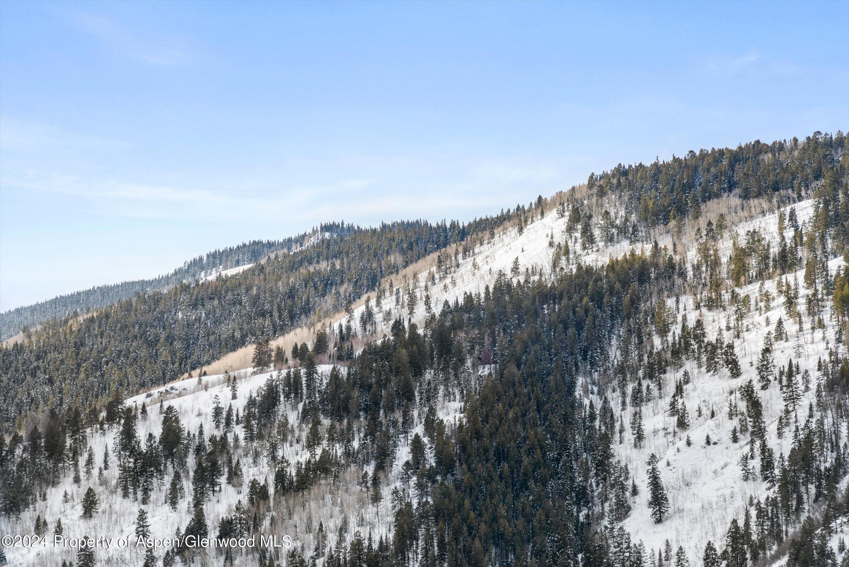 449 Mountain Laurel Drive #4, Aspen, CO 81611 - Photo 28