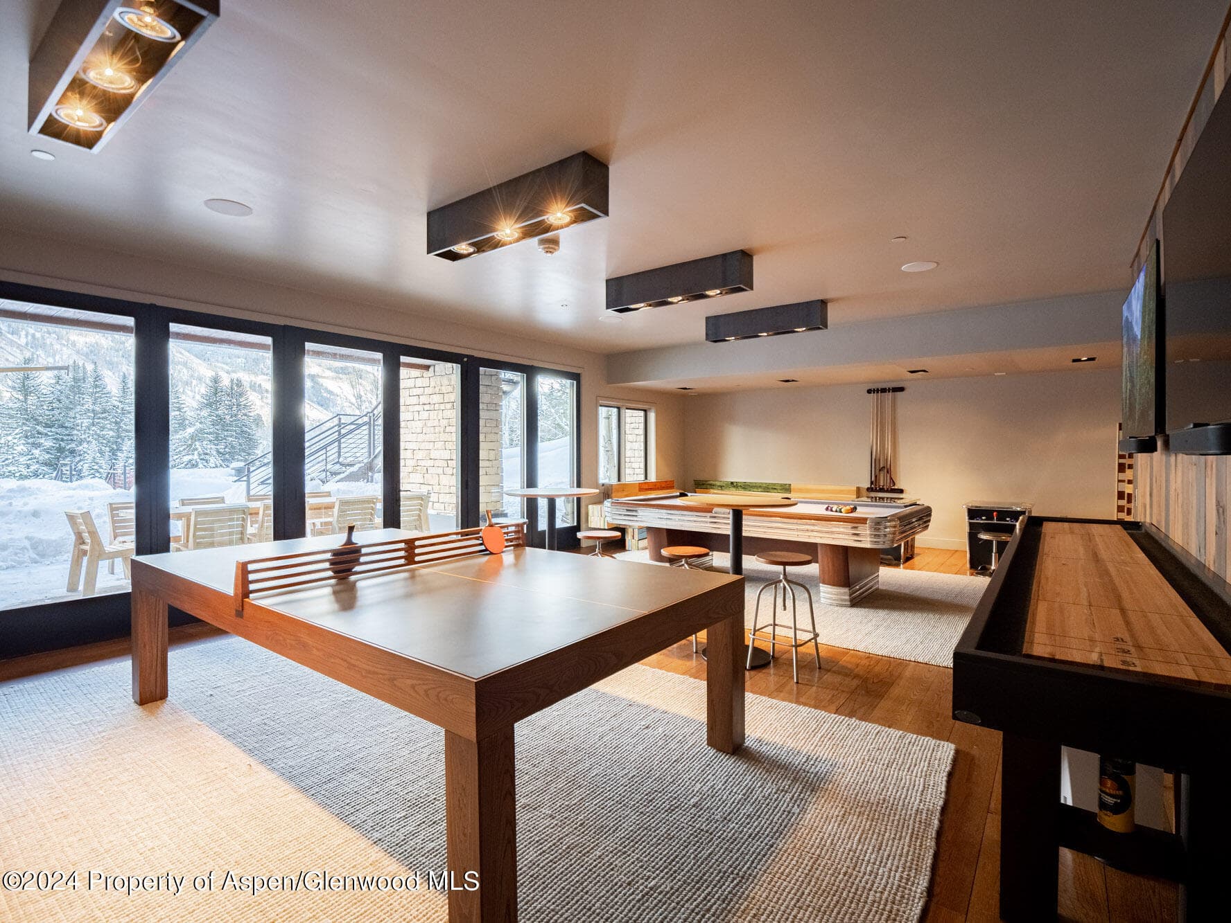 1490 Ute Avenue, Aspen, CO 81611 - Photo 79