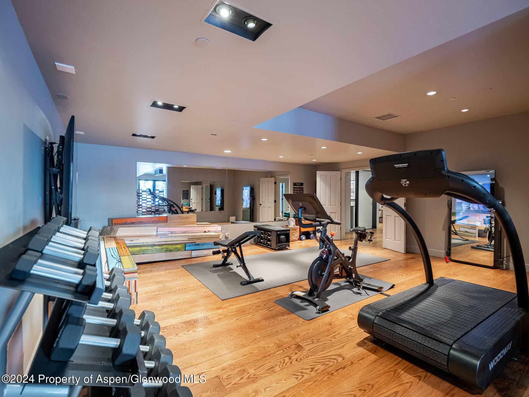 1490 Ute Avenue, Aspen, CO 81611 - Photo 81