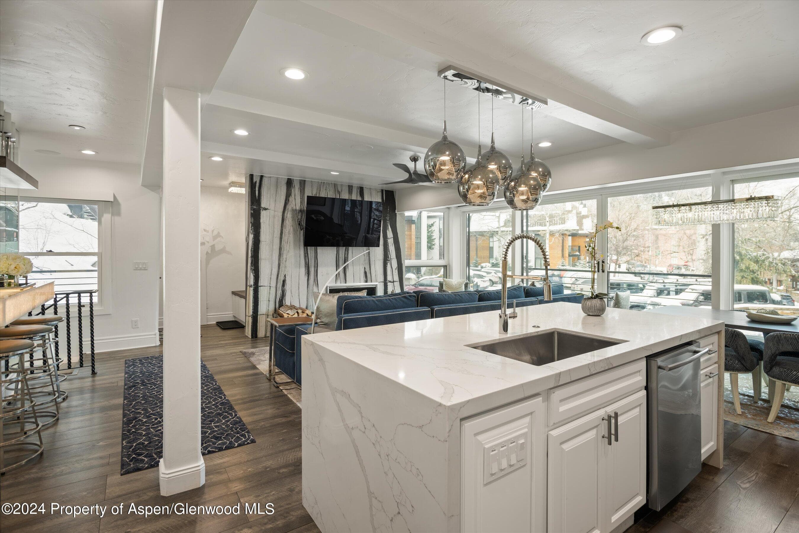 748 S Galena Street 2D, Aspen, CO 81611 - Photo 10