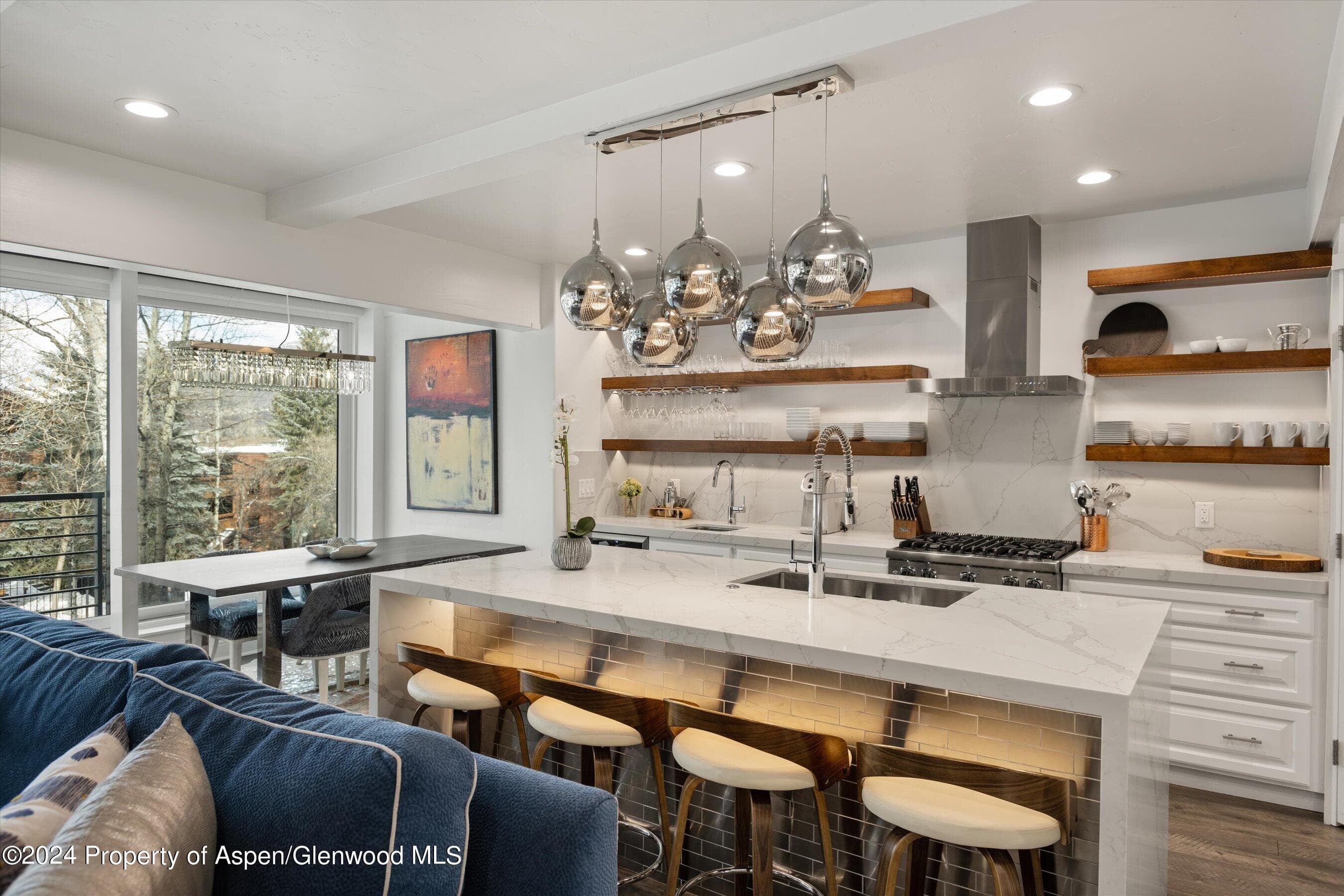 748 S Galena Street 2D, Aspen, CO 81611 - Photo 7