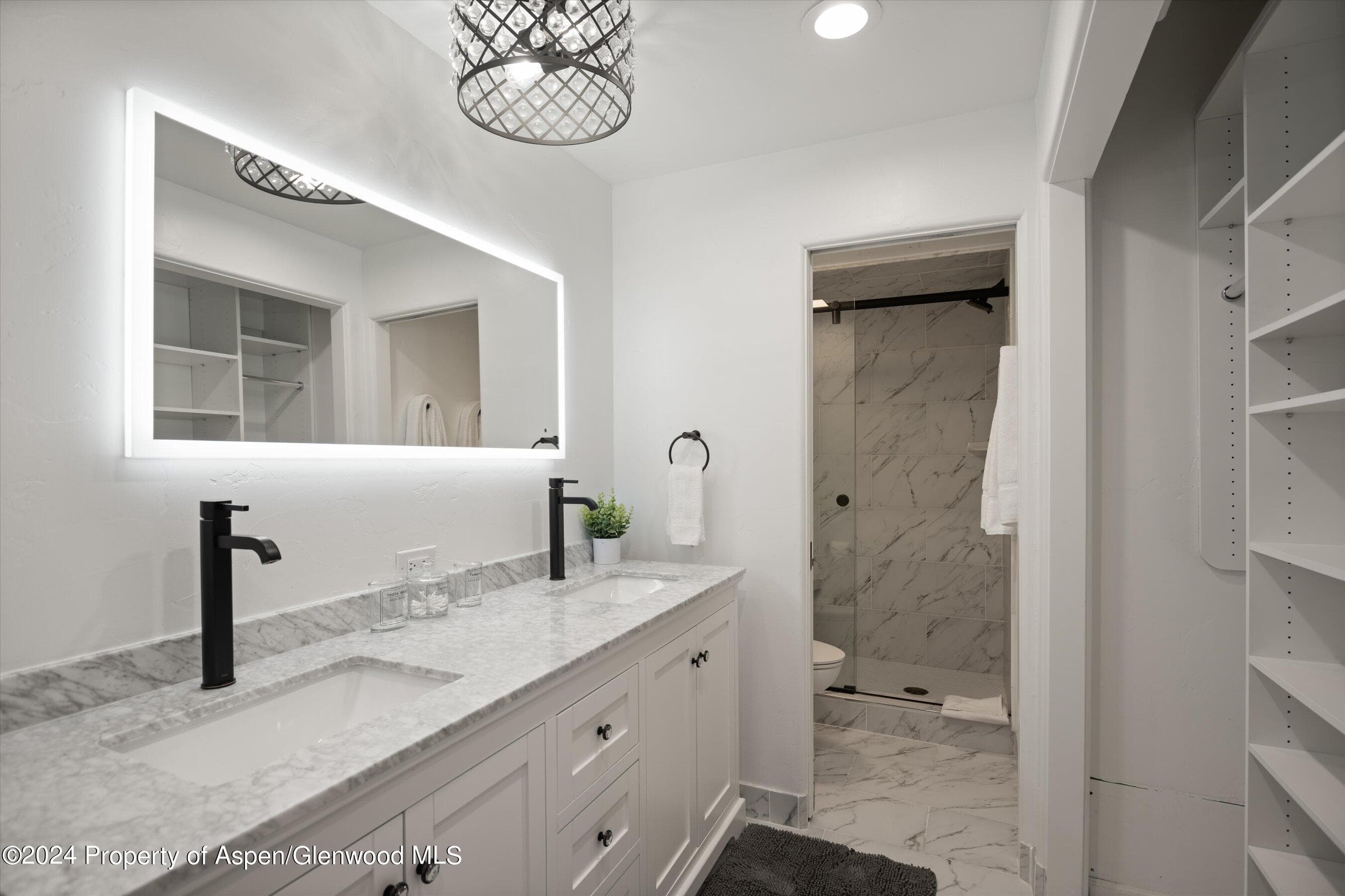 748 S Galena Street 2D, Aspen, CO 81611 - Photo 25