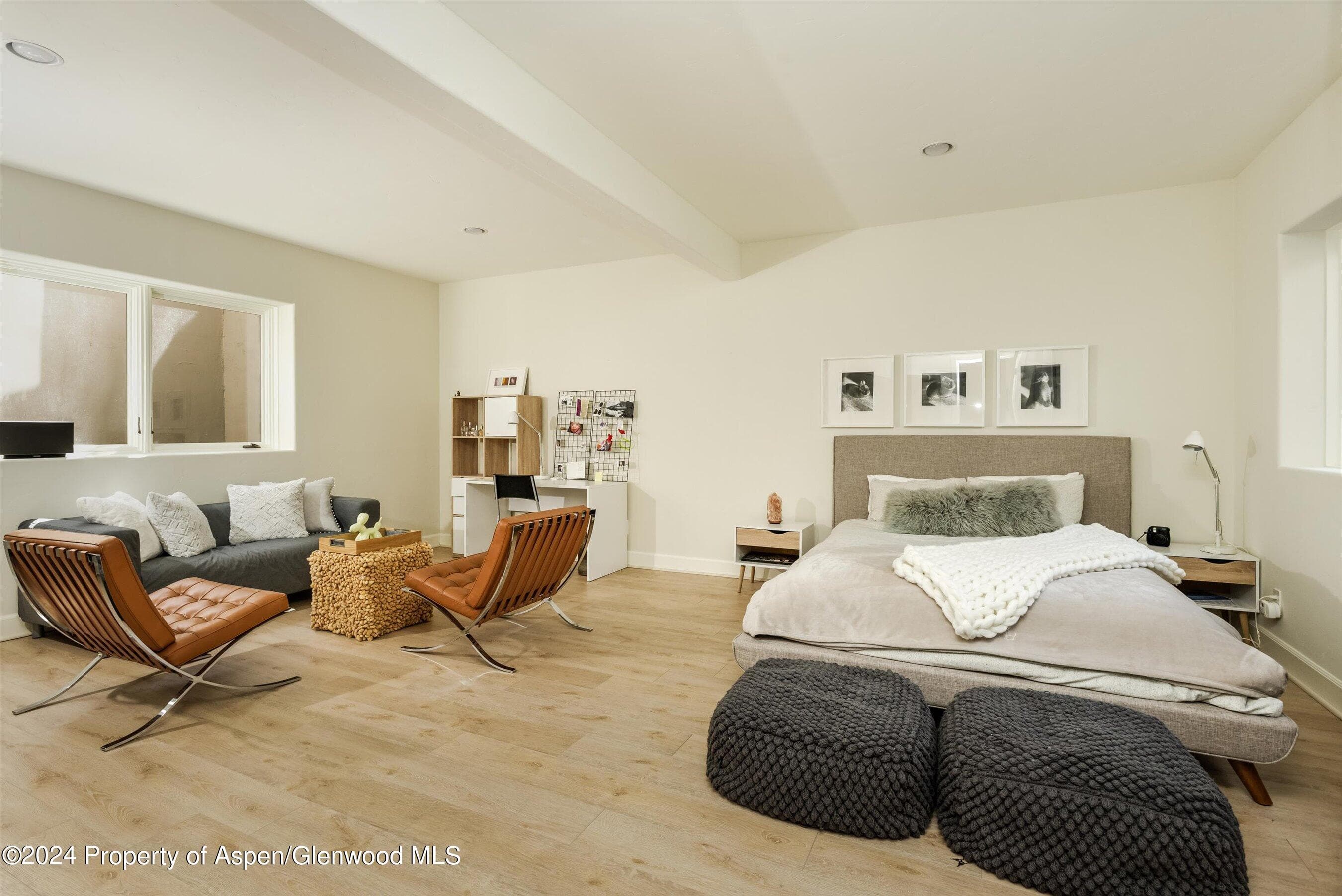 725 Castle Creek Drive, Aspen, CO 81611 - Photo 22