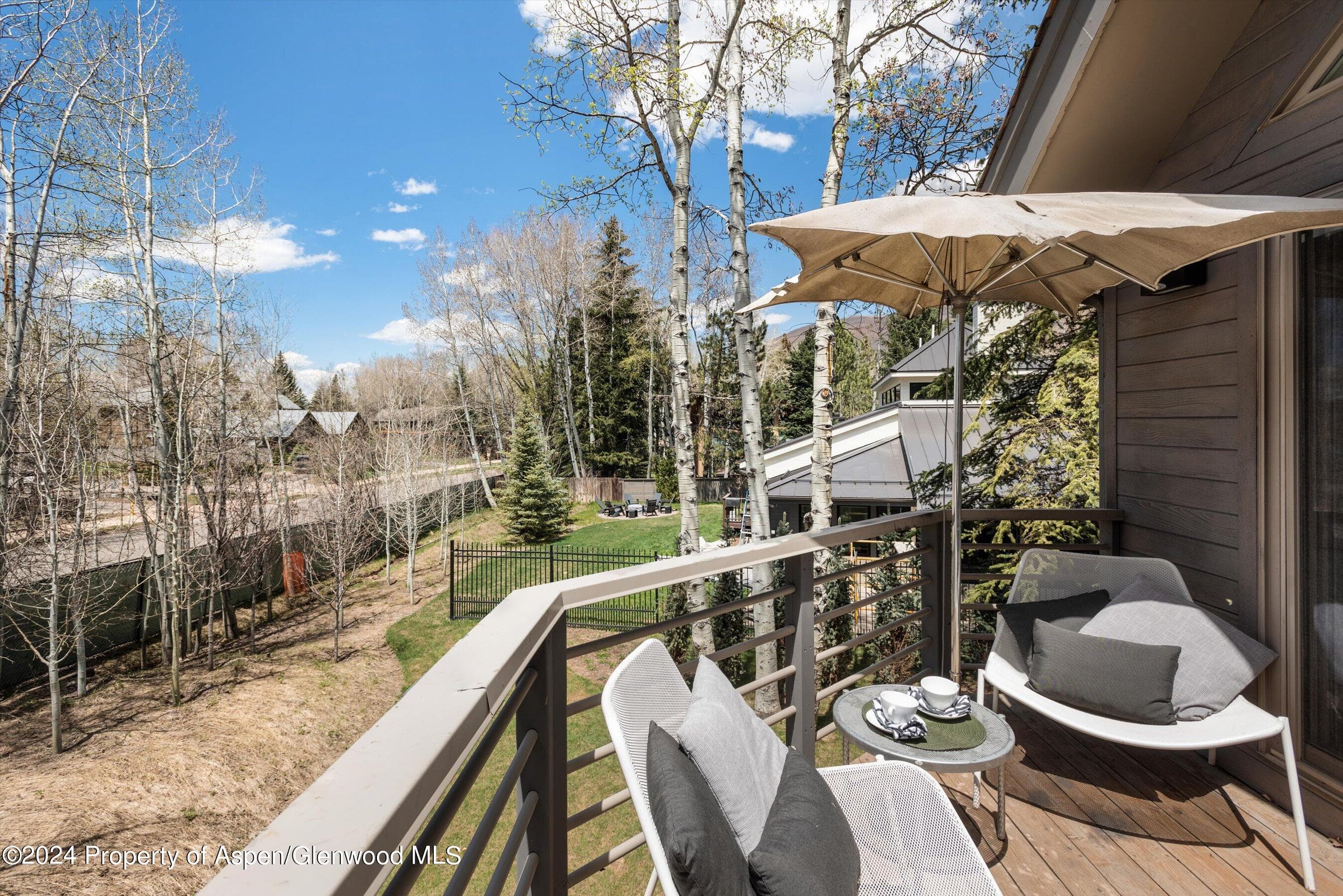 725 Castle Creek Drive, Aspen, CO 81611 - Photo 29