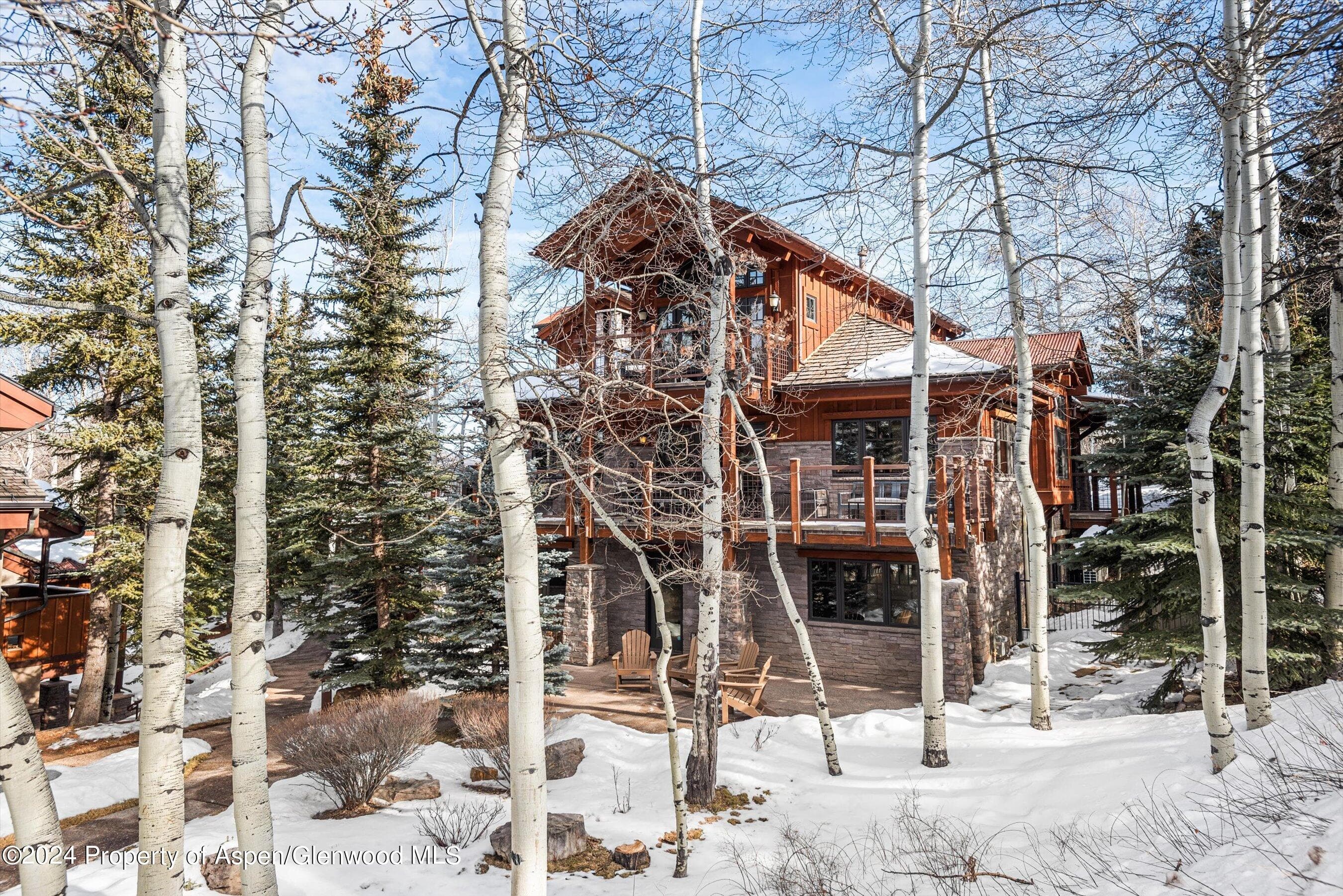 227 Faraway Road 38, Snowmass Village, CO 81615 - Photo 49