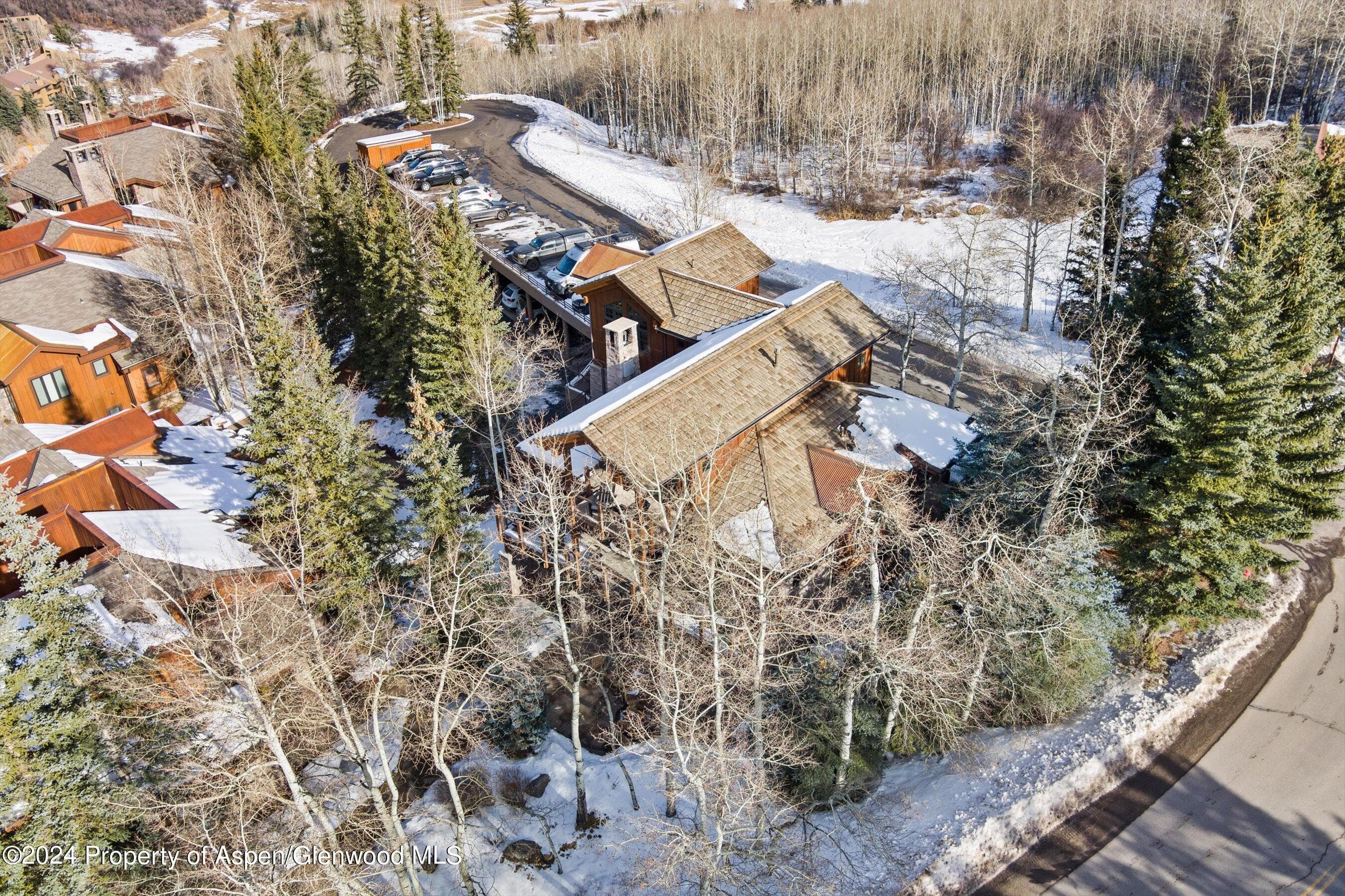227 Faraway Road 38, Snowmass Village, CO 81615 - Photo 48