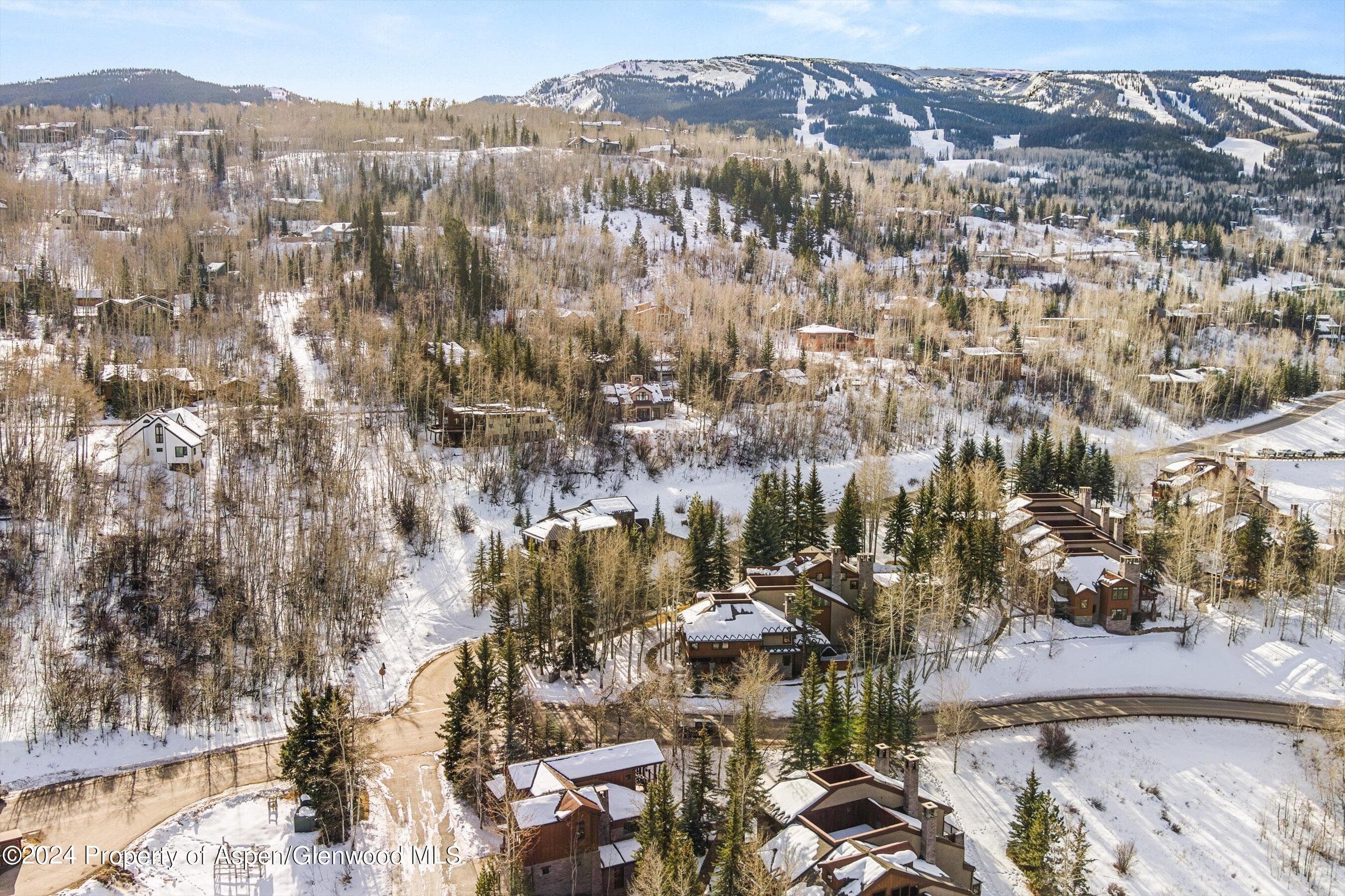 227 Faraway Road 38, Snowmass Village, CO 81615 - Photo 51